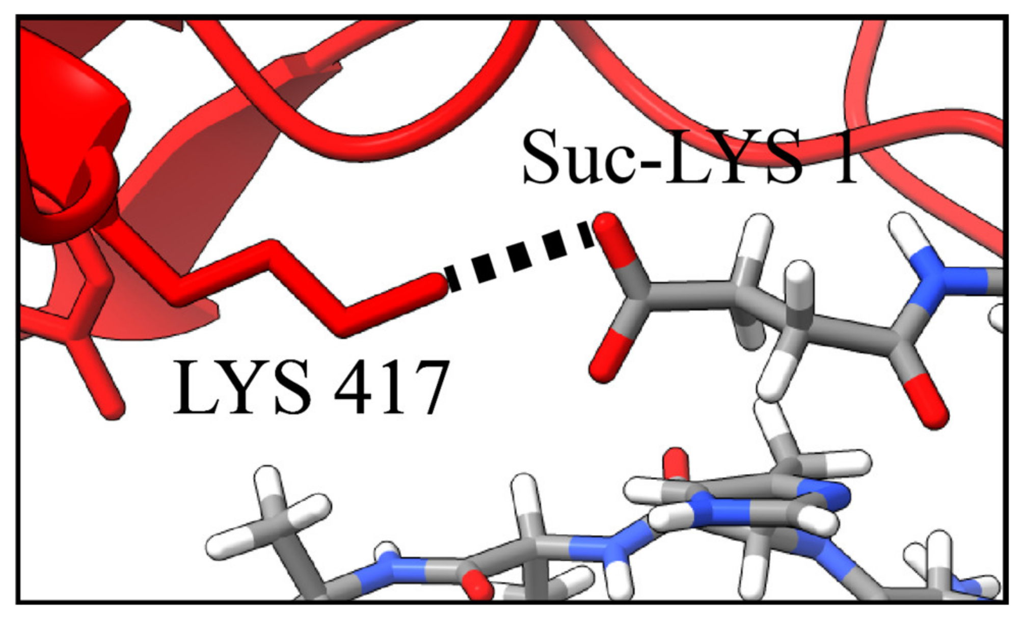 Molecules 27 02070 g006