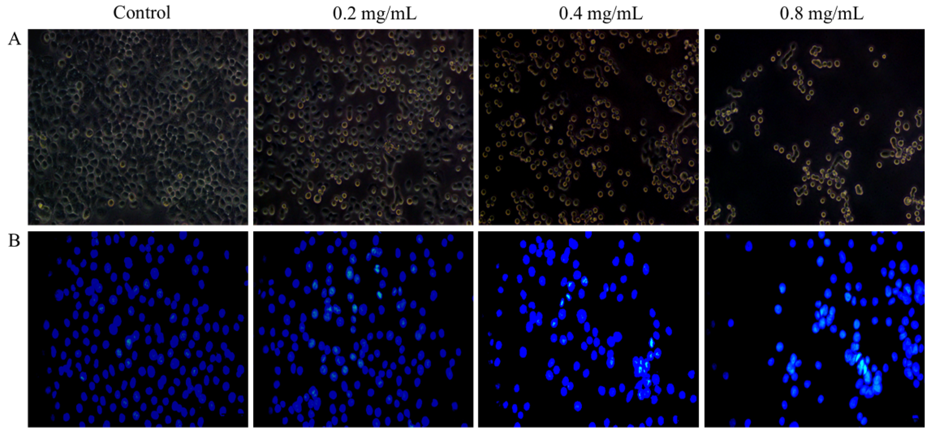 Molecules 27 02071 g008 Molecules 27 02071 g008
