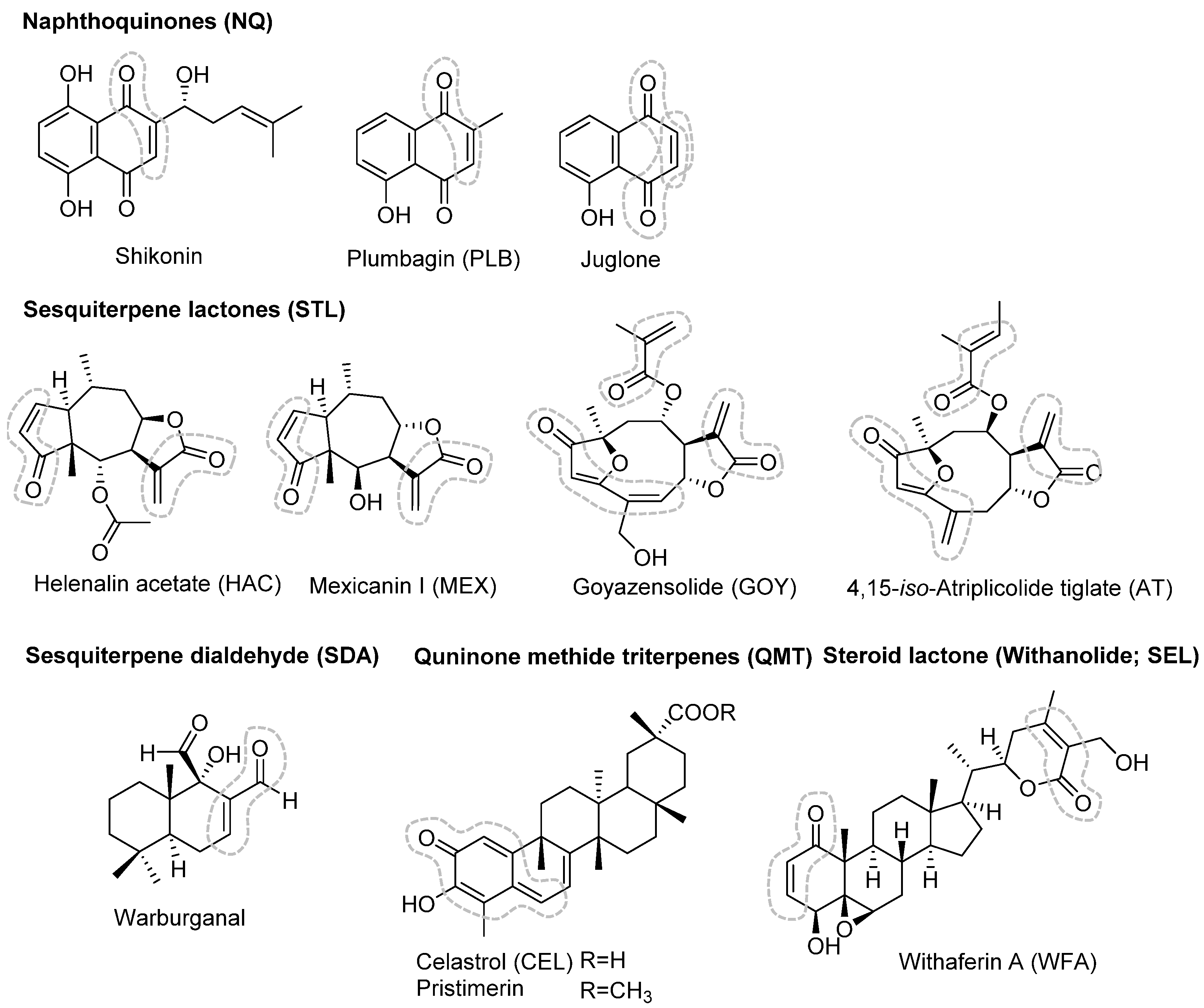 Molecules 27 02077 g003 Molecules 27 02077 g003
