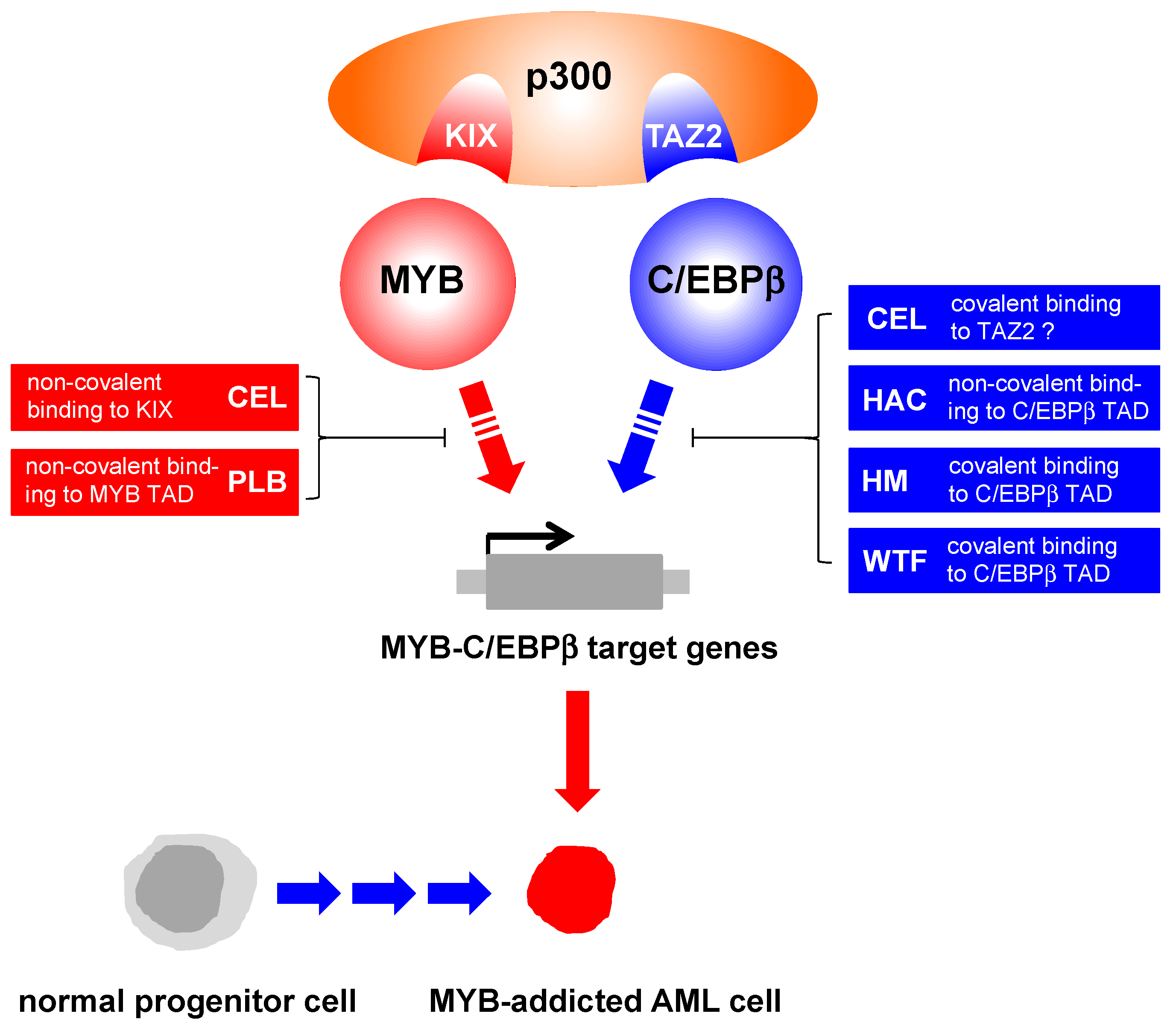 Molecules 27 02077 g007 Molecules 27 02077 g007