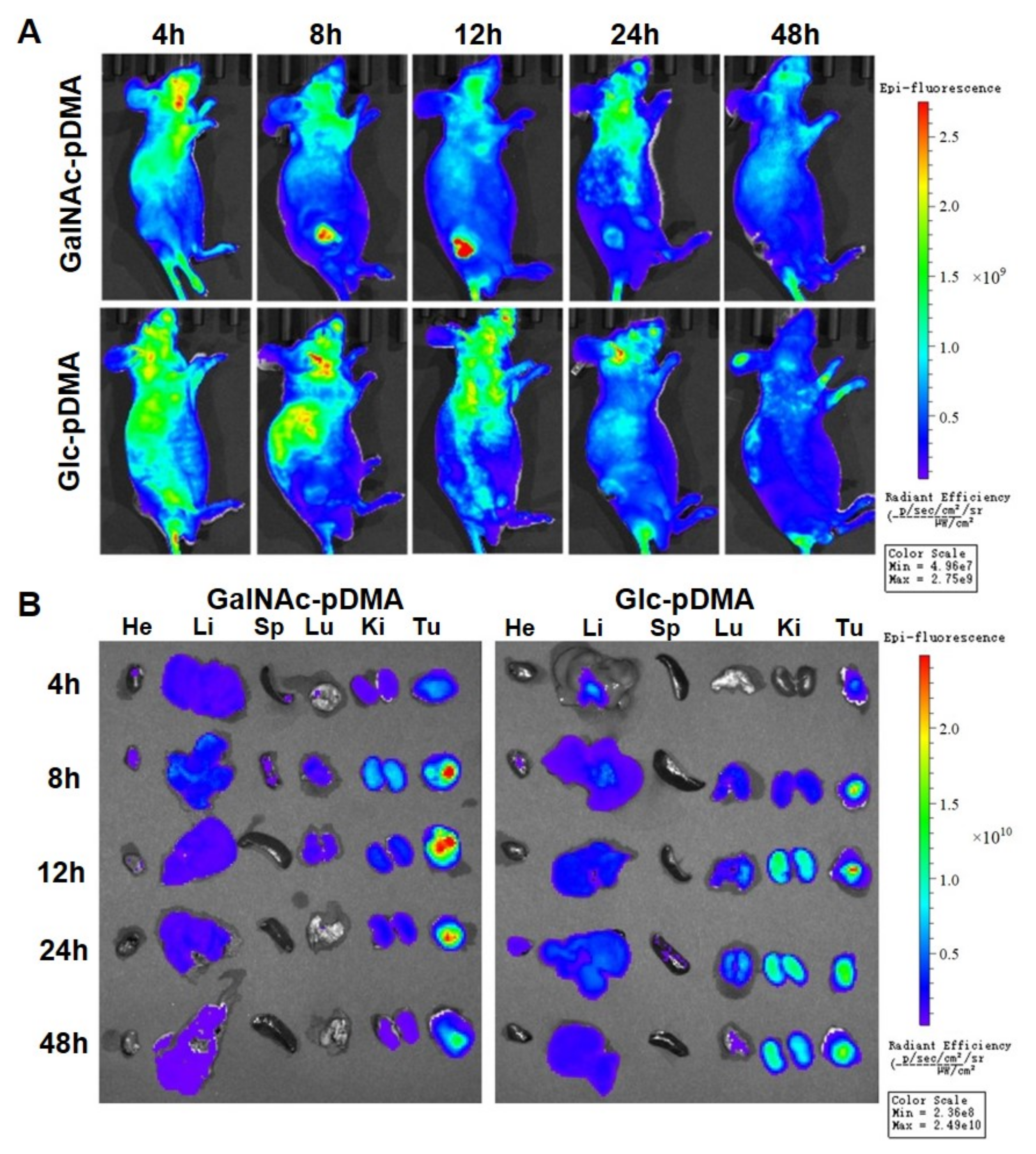Molecules 27 02082 g005 Molecules 27 02082 g005