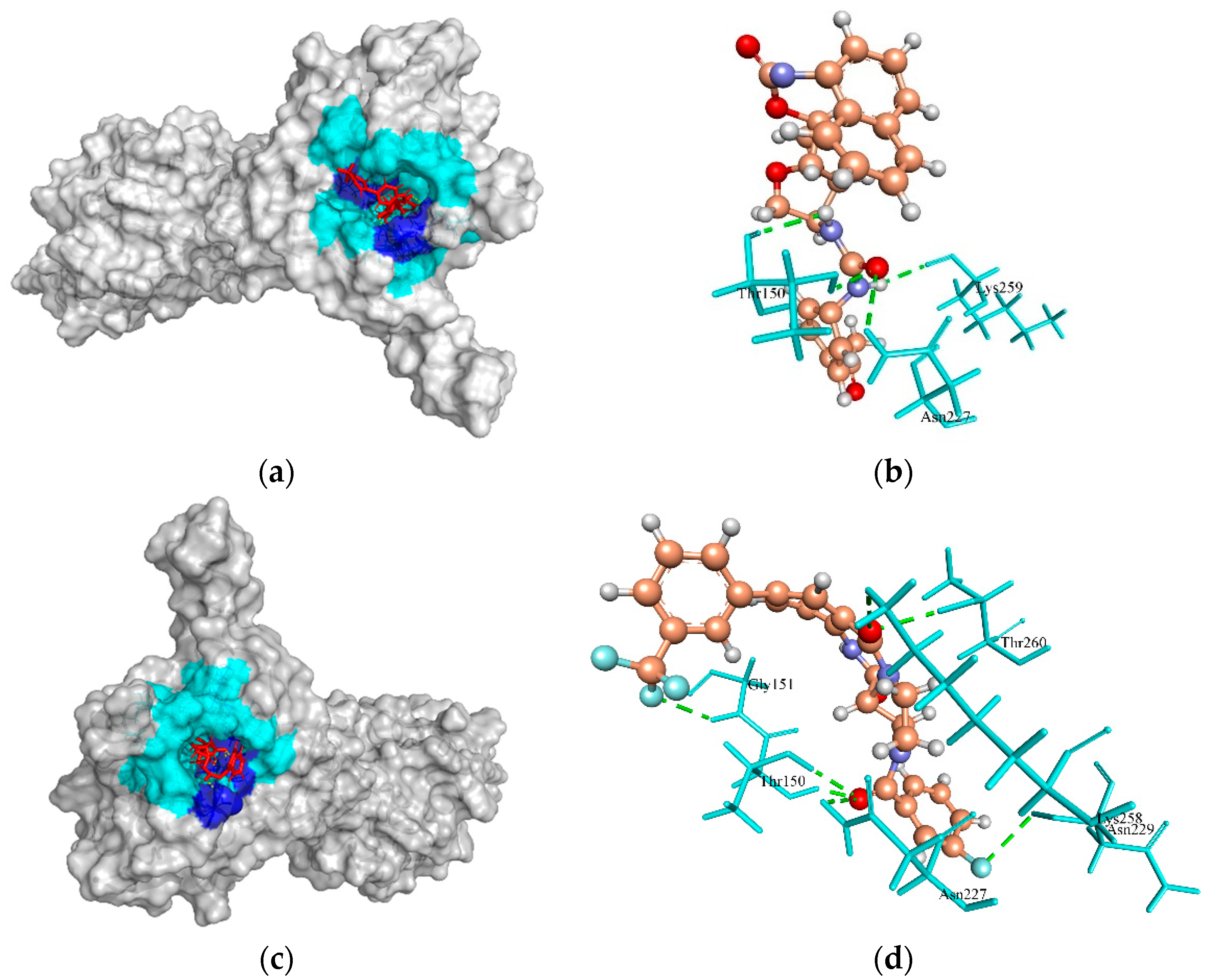 Molecules 27 02083 g003