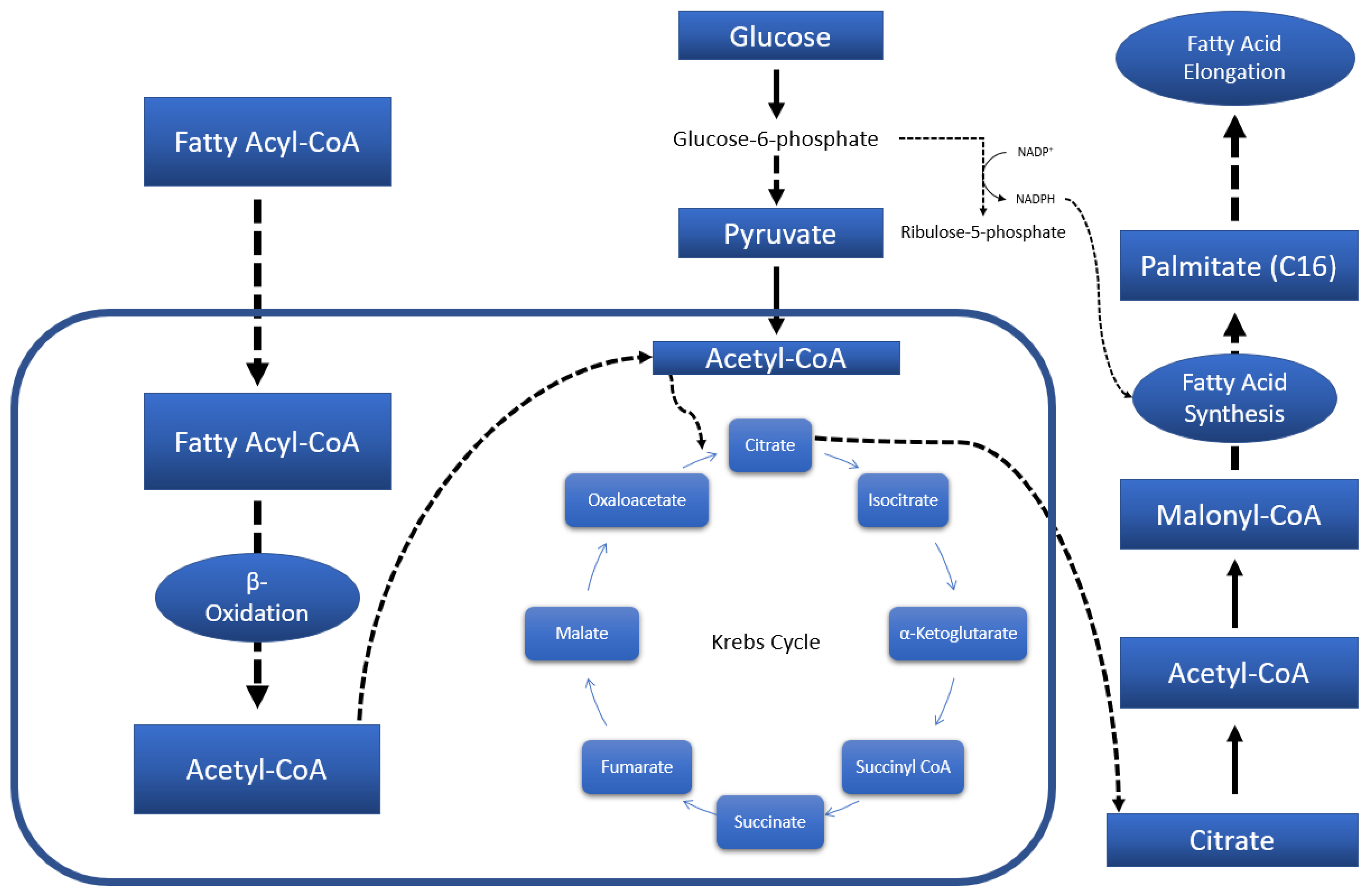 Molecules | Free Full-Text | Untargeted Metabolomics Reveals the ...