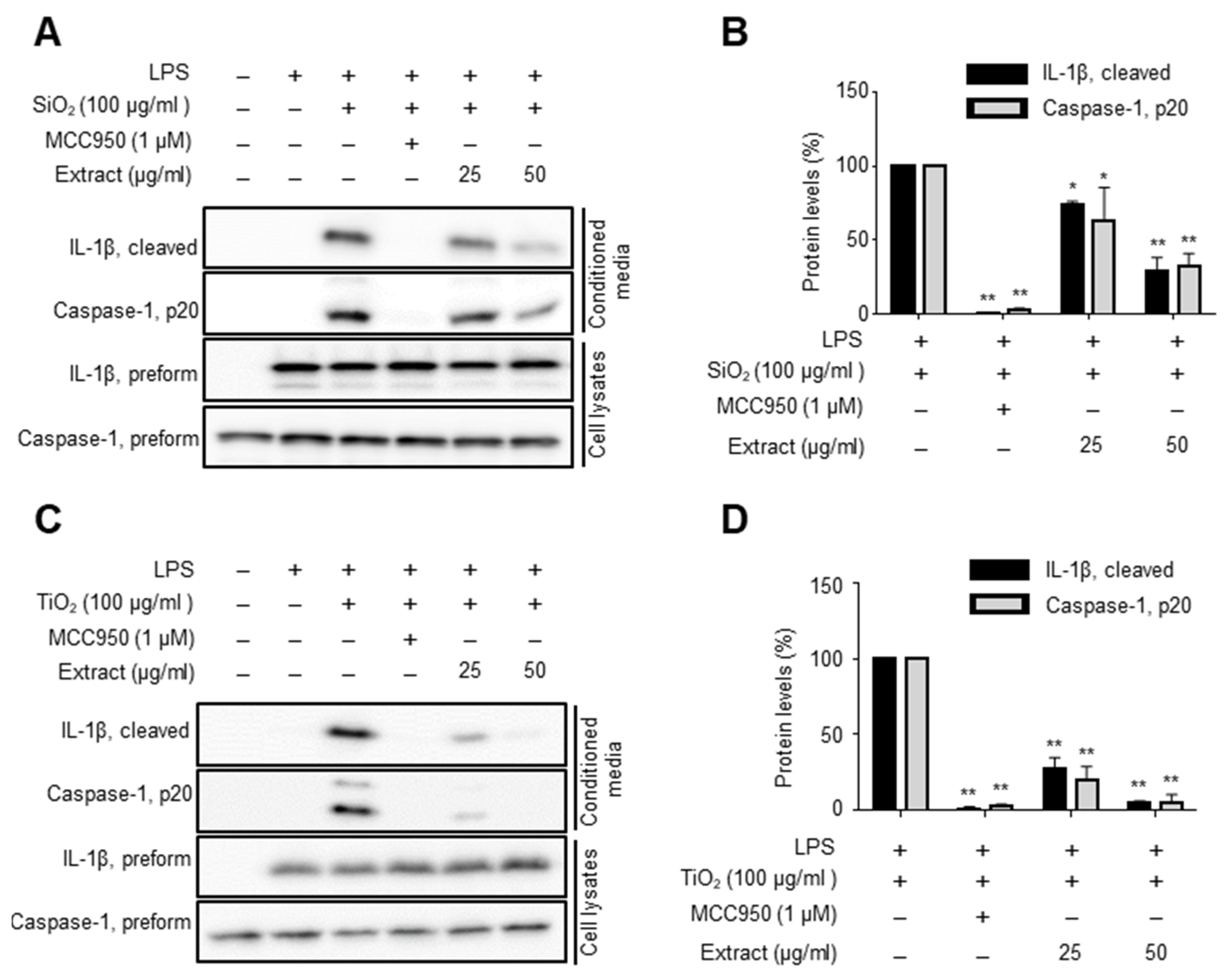 Molecules 27 02101 g001 550