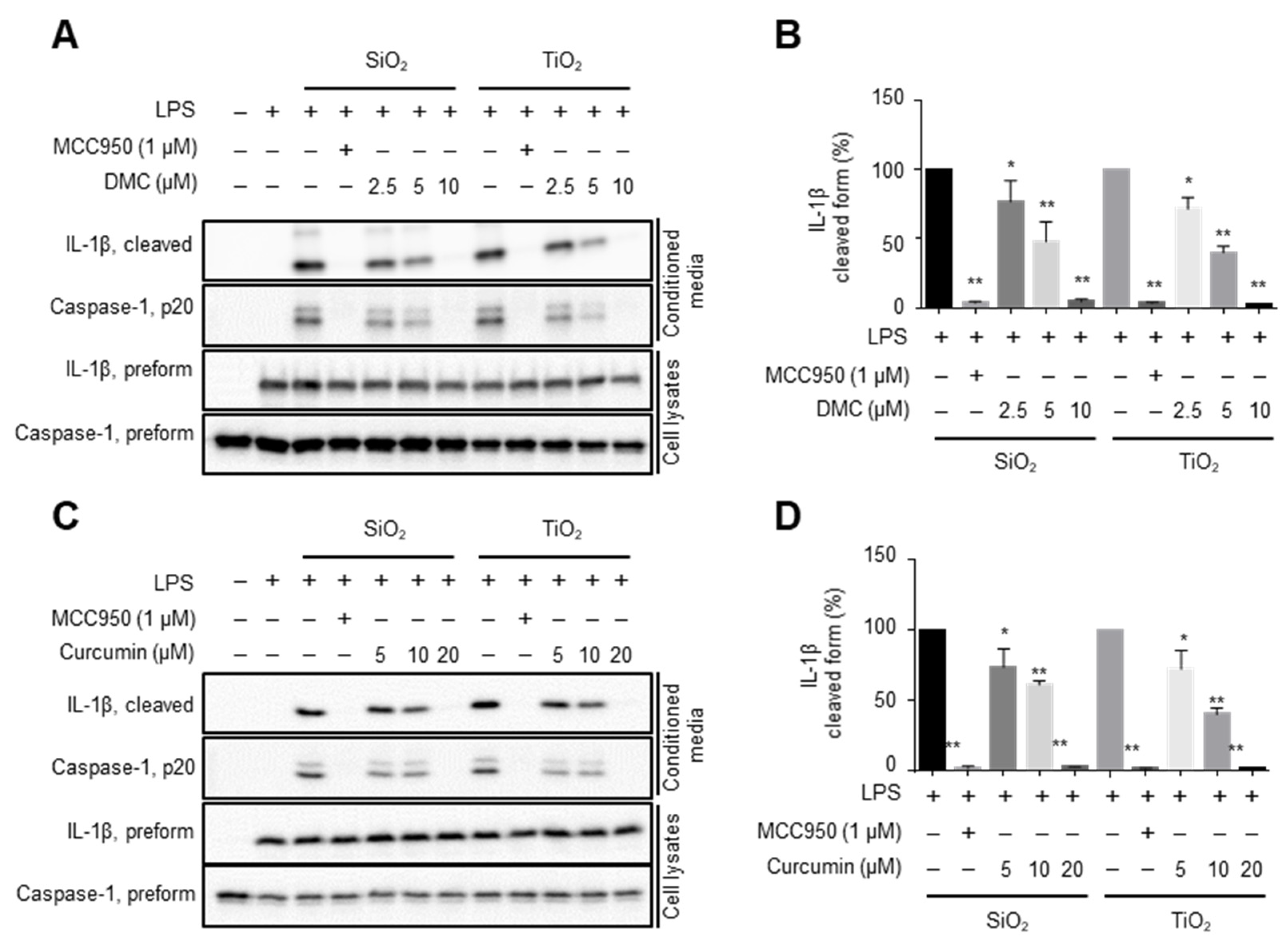 Molecules 27 02101 g003 550