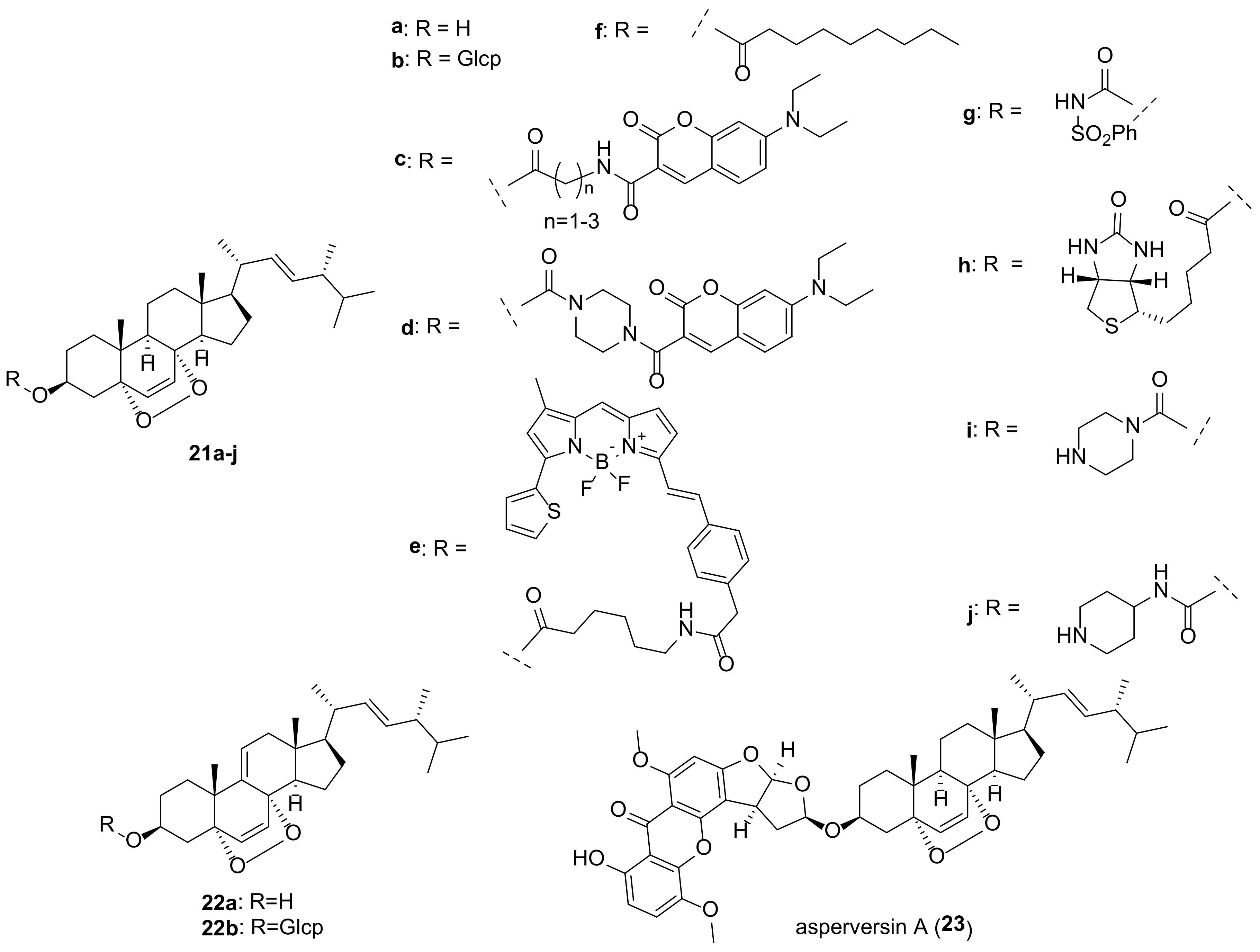 Molecules 27 02103 g005