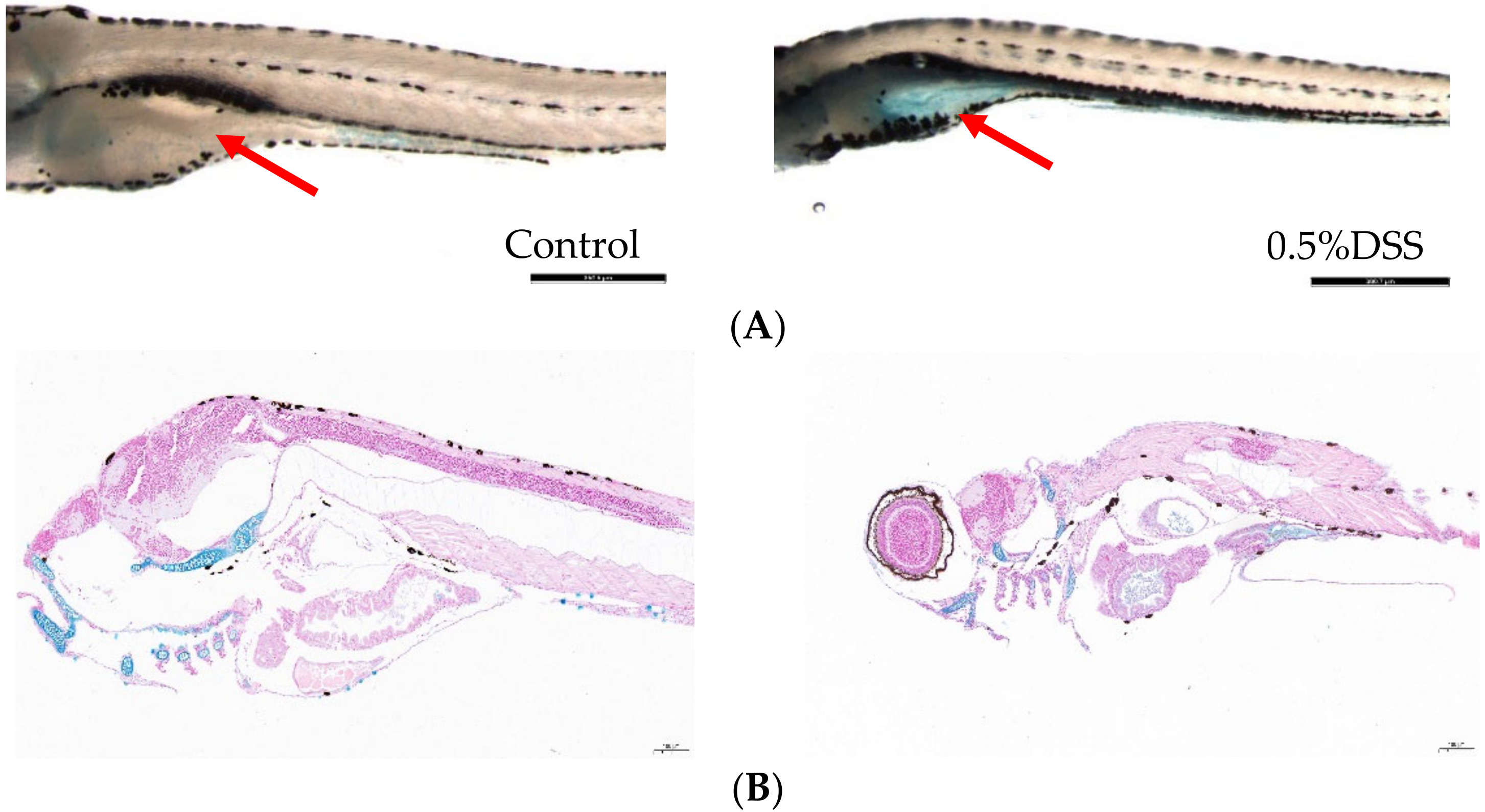 Molecules 27 02114 g001