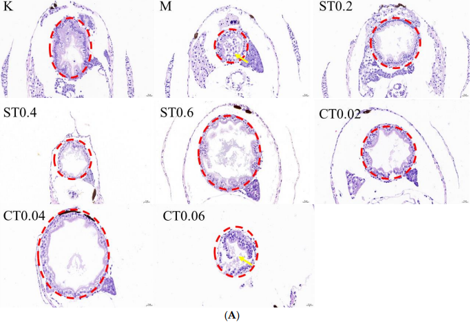 Molecules 27 02114 g002a