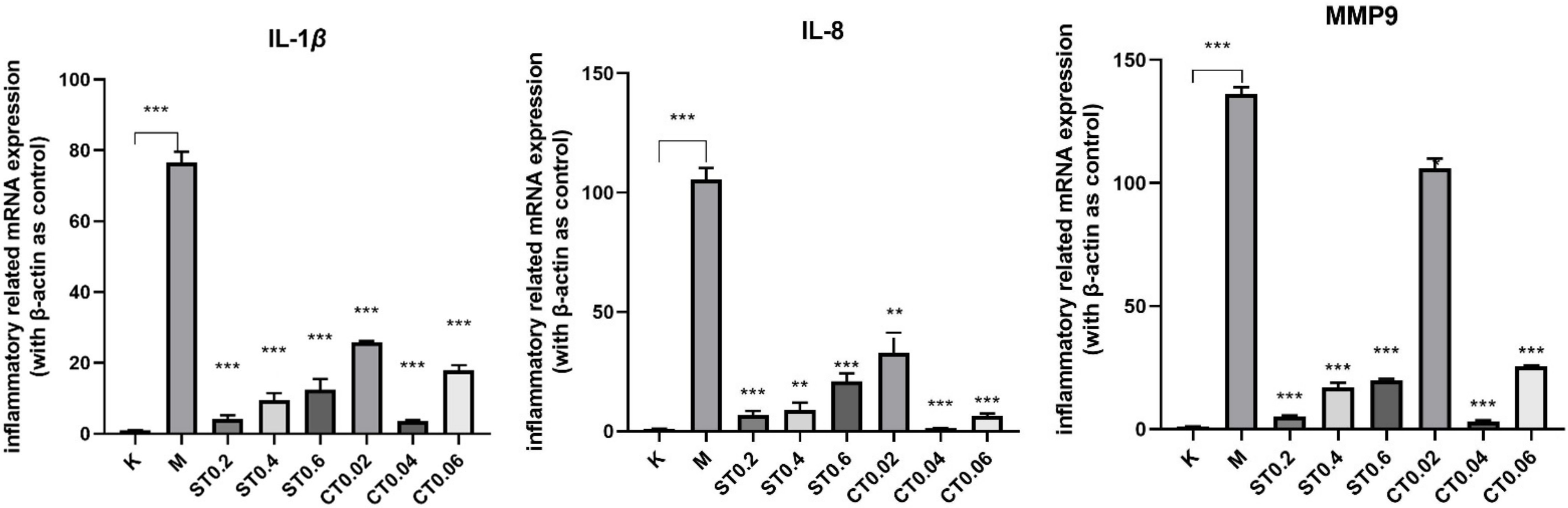 Molecules 27 02114 g004