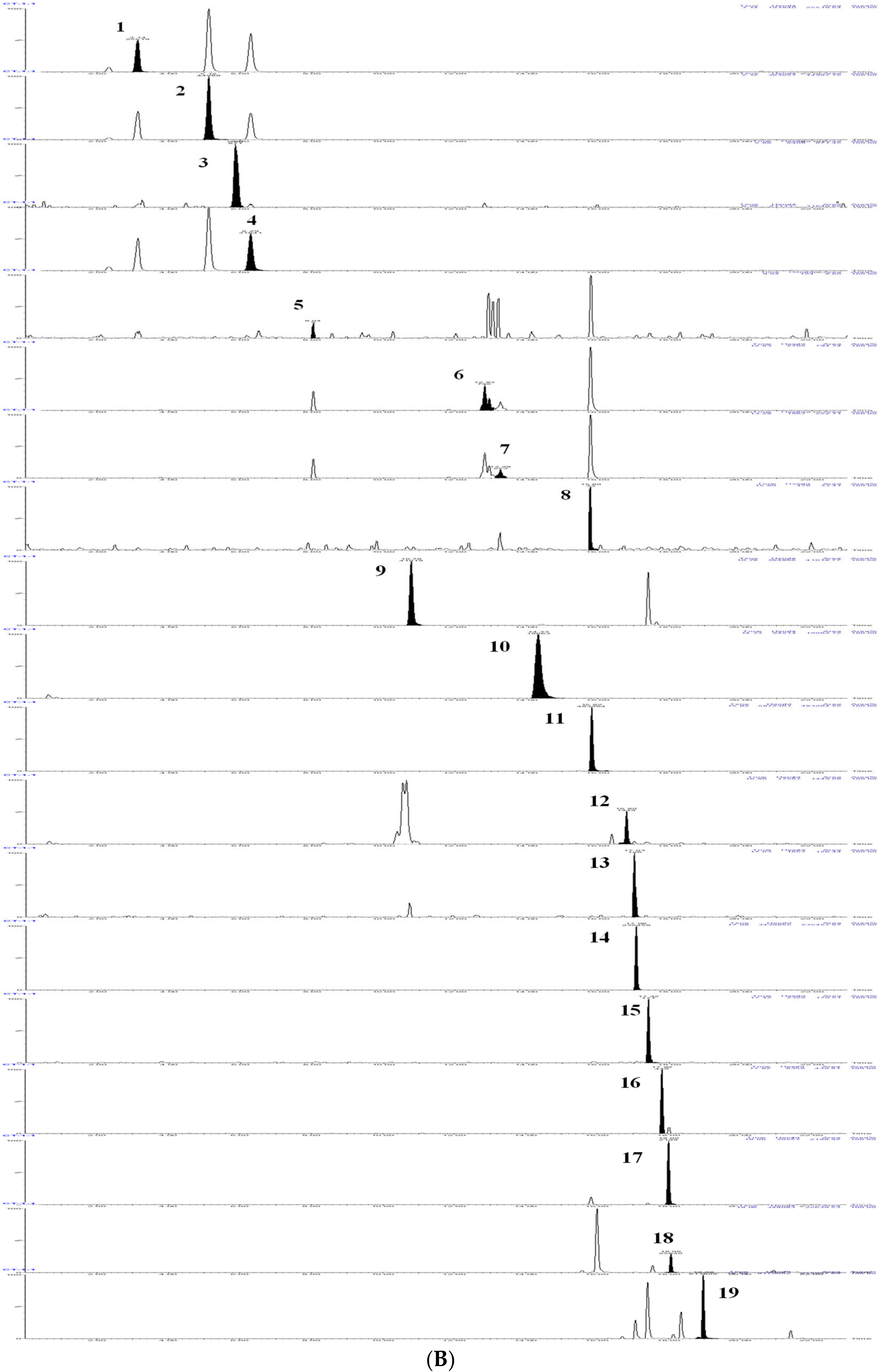 Molecules 27 02114 g005b