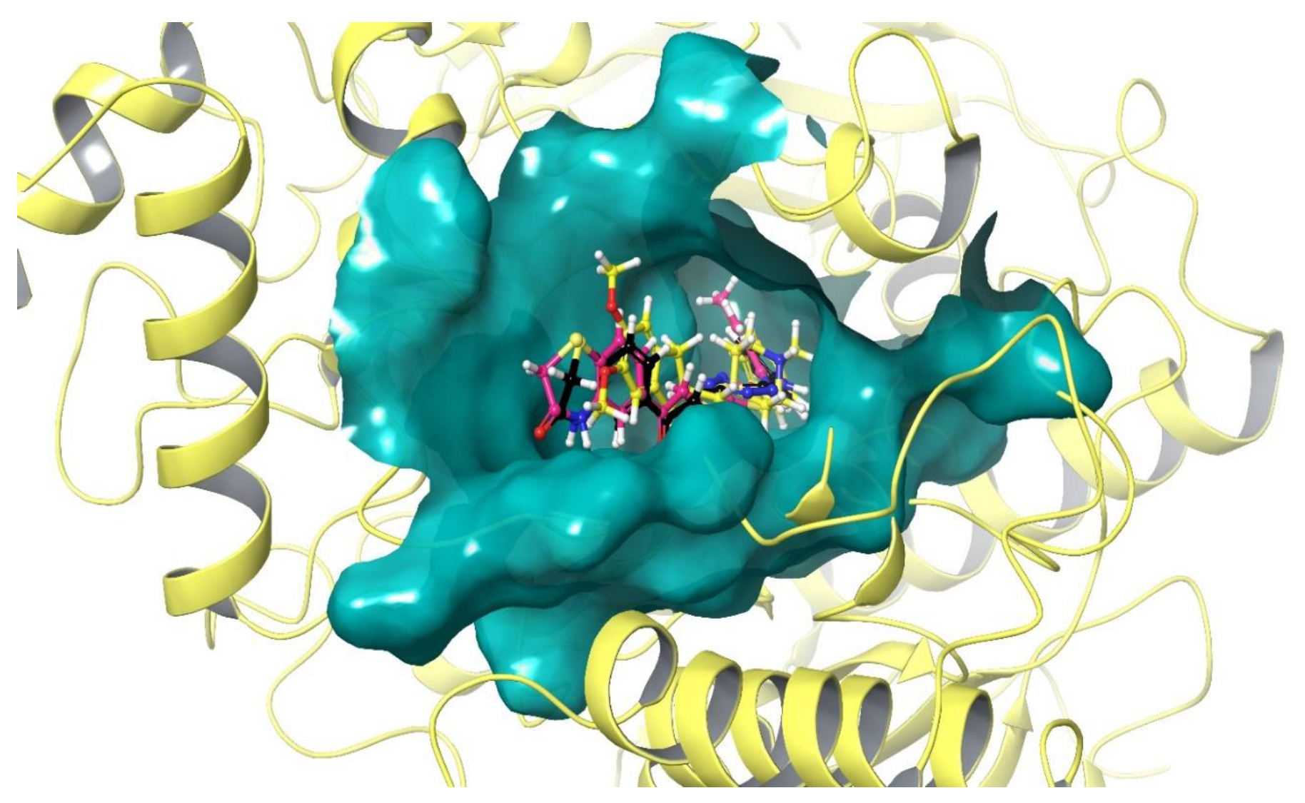 Molecules 27 02121 g004