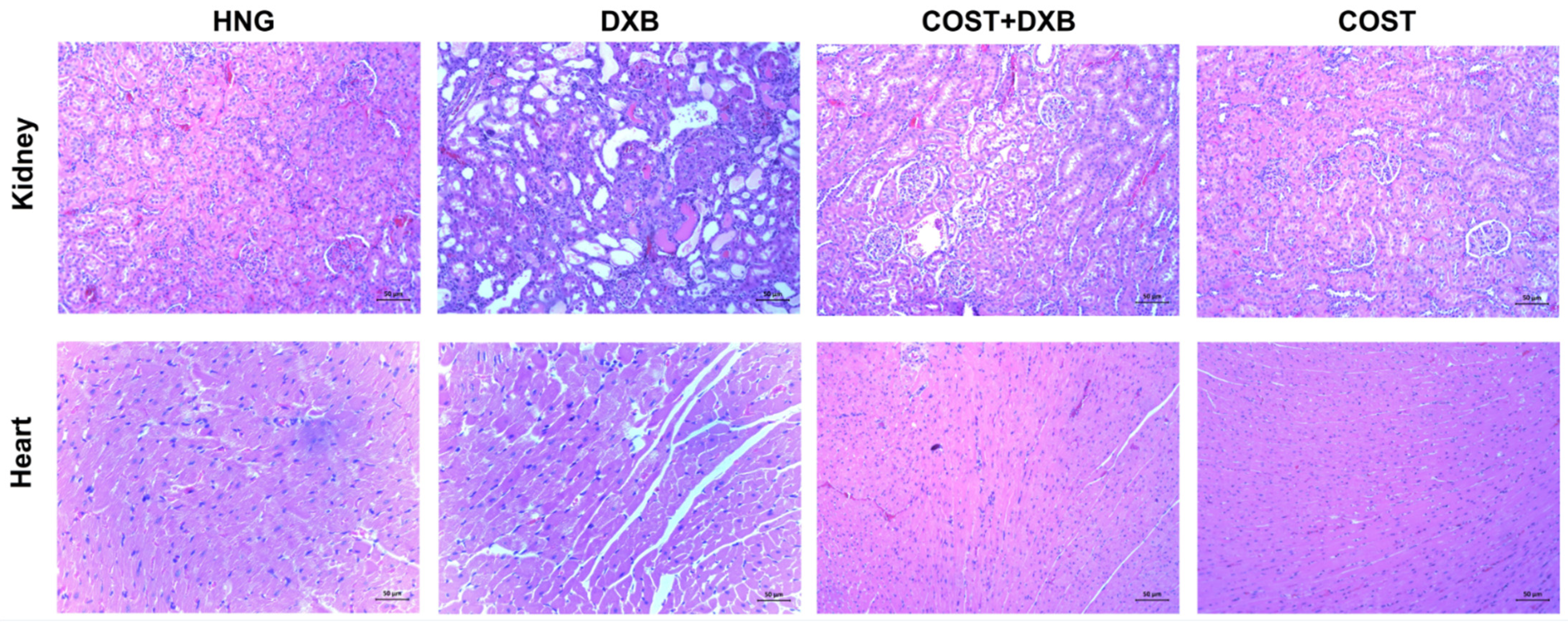 Molecules 27 02122 g005 550
