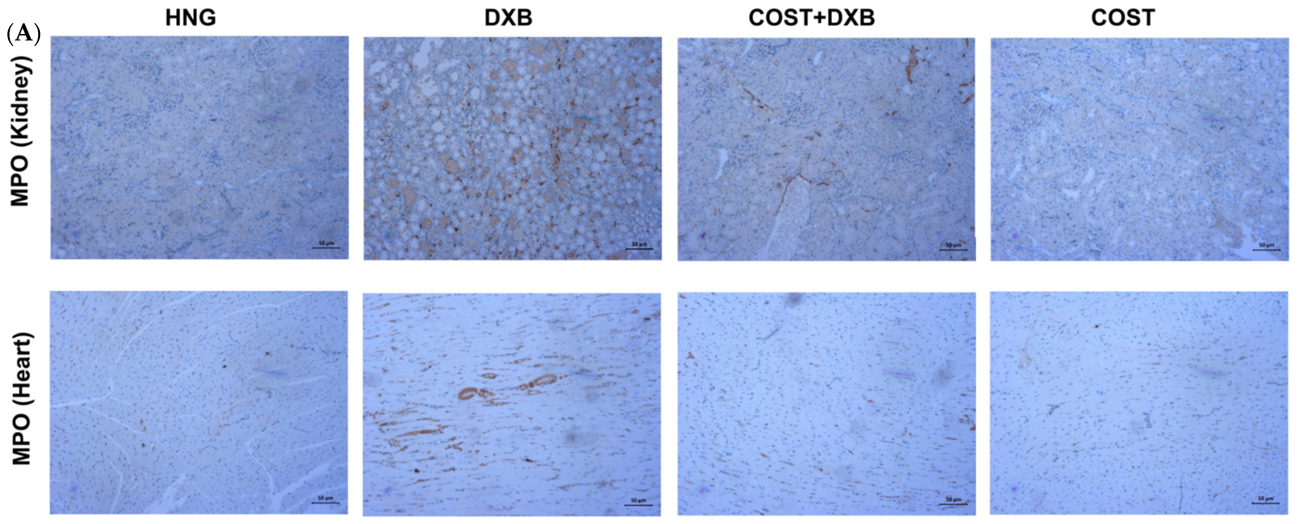 Molecules 27 02122 g008a 550