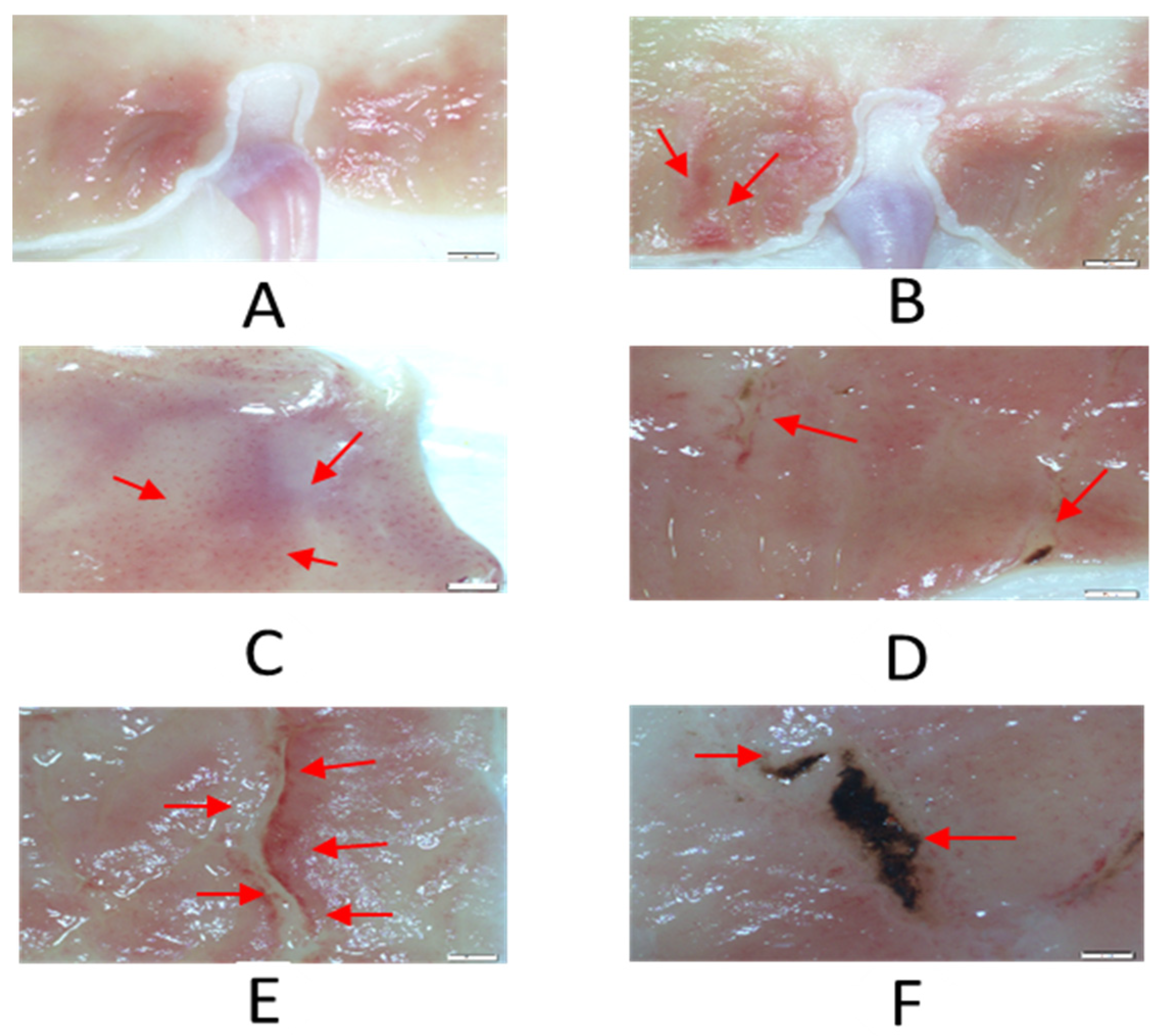 Molecules 27 02126 g001 550
