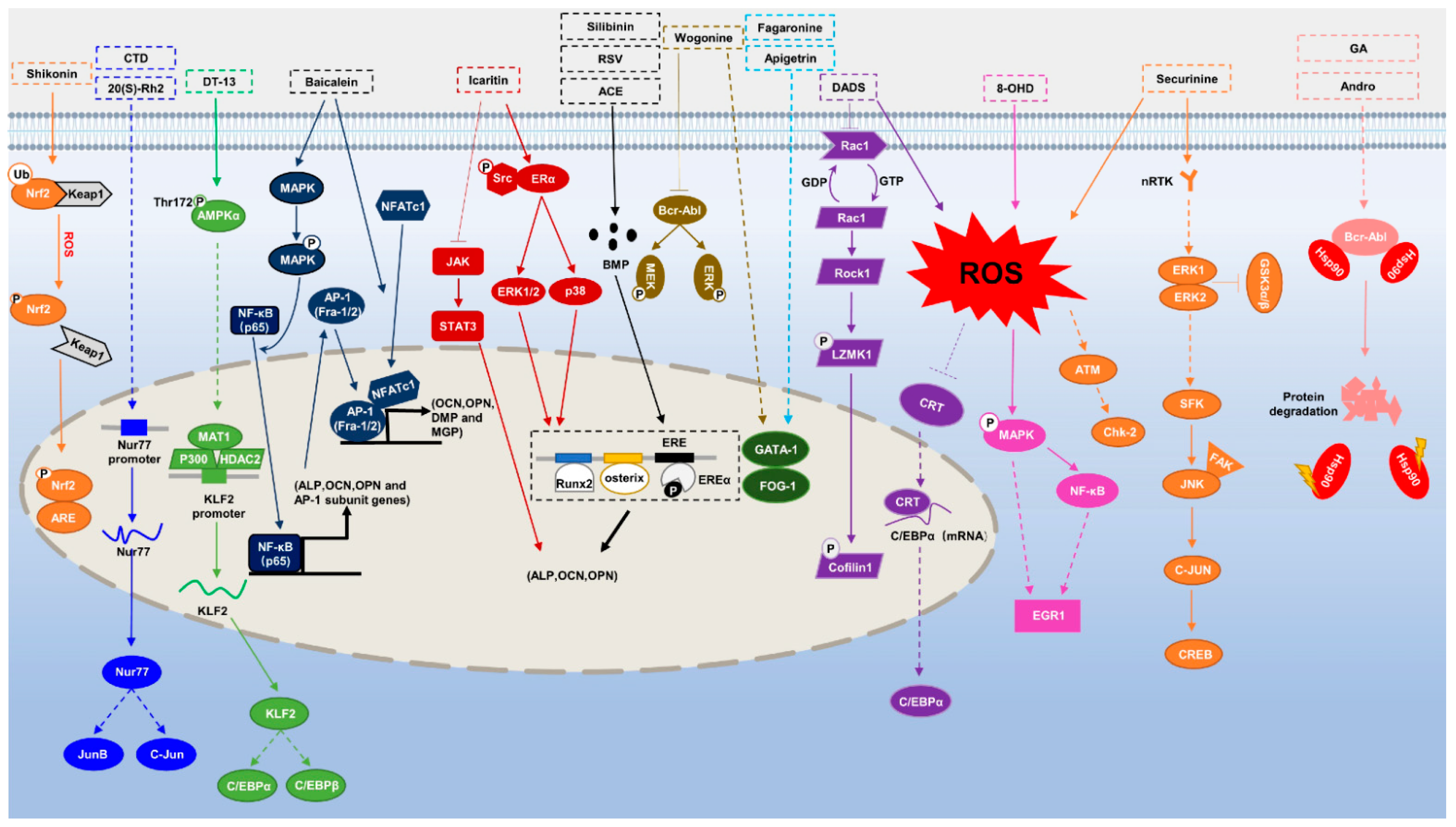 Molecules 27 02128 g001