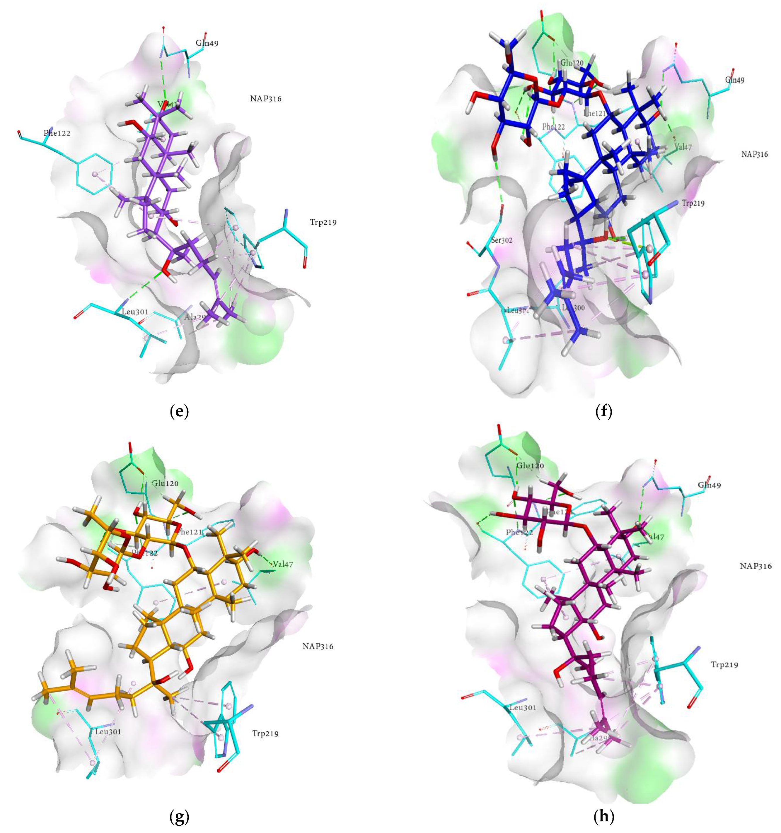Molecules 27 02134 g004b