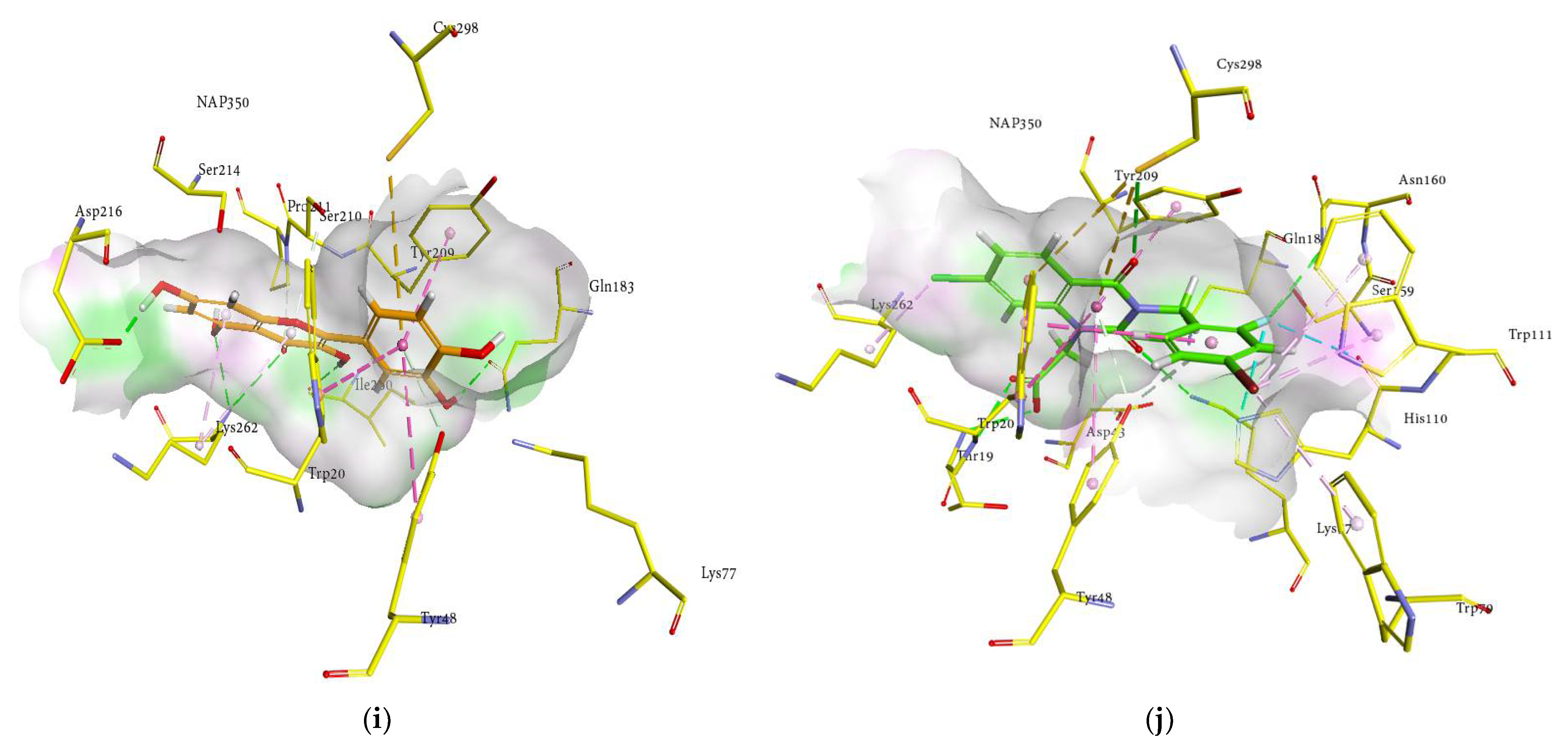 Molecules 27 02134 g005c