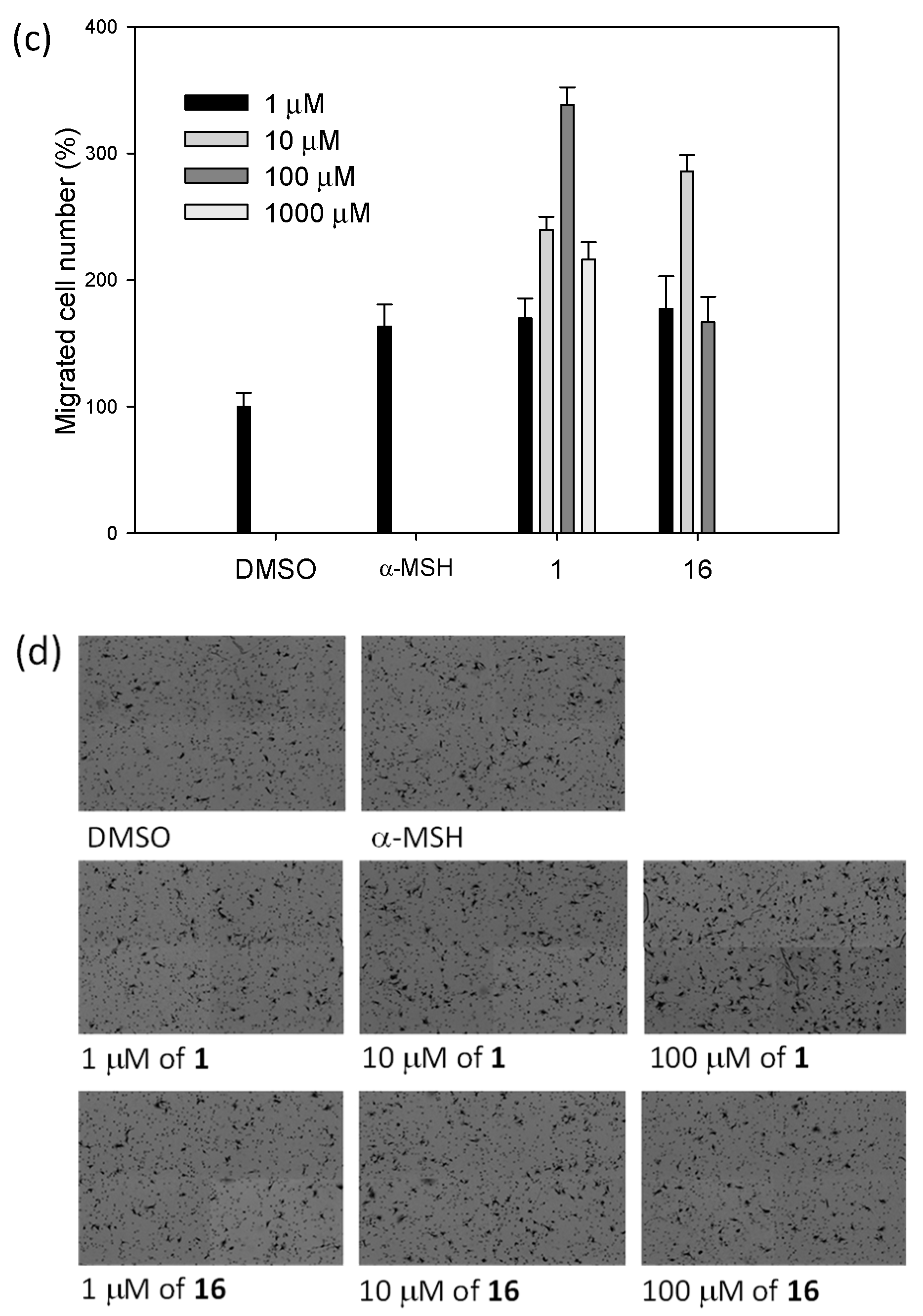 Molecules 27 02135 g002b