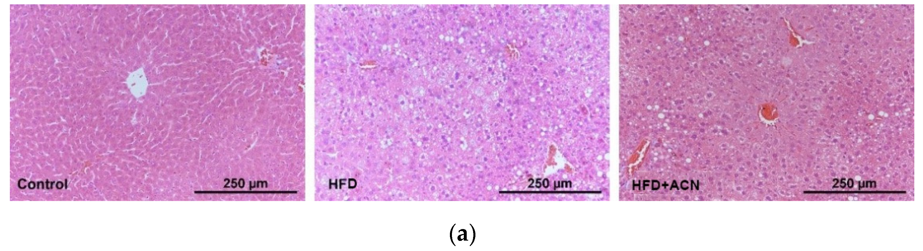 Molecules 27 02141 g003a 550