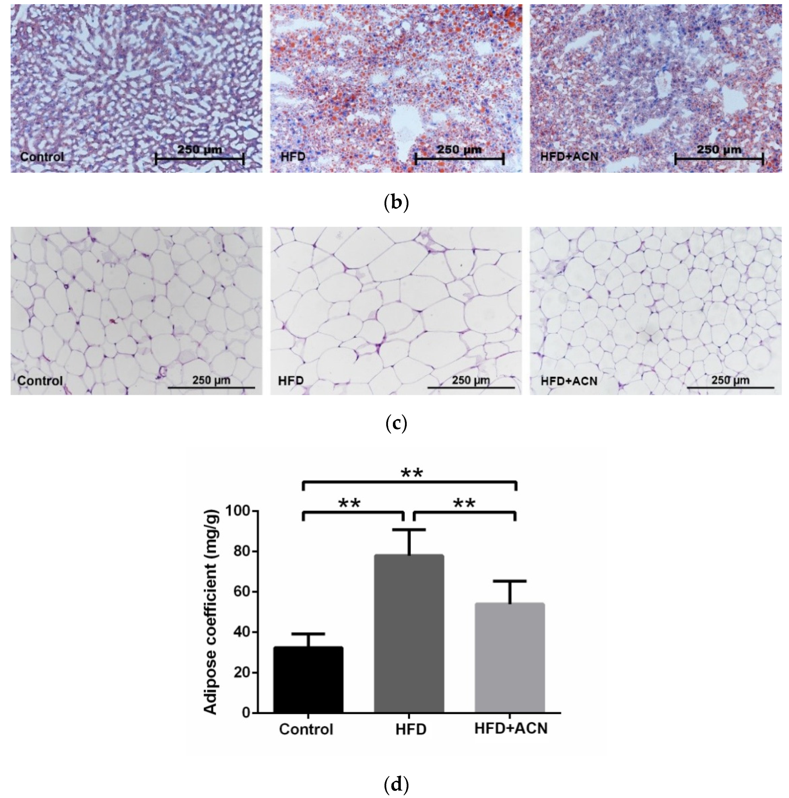 Molecules 27 02141 g003b 550