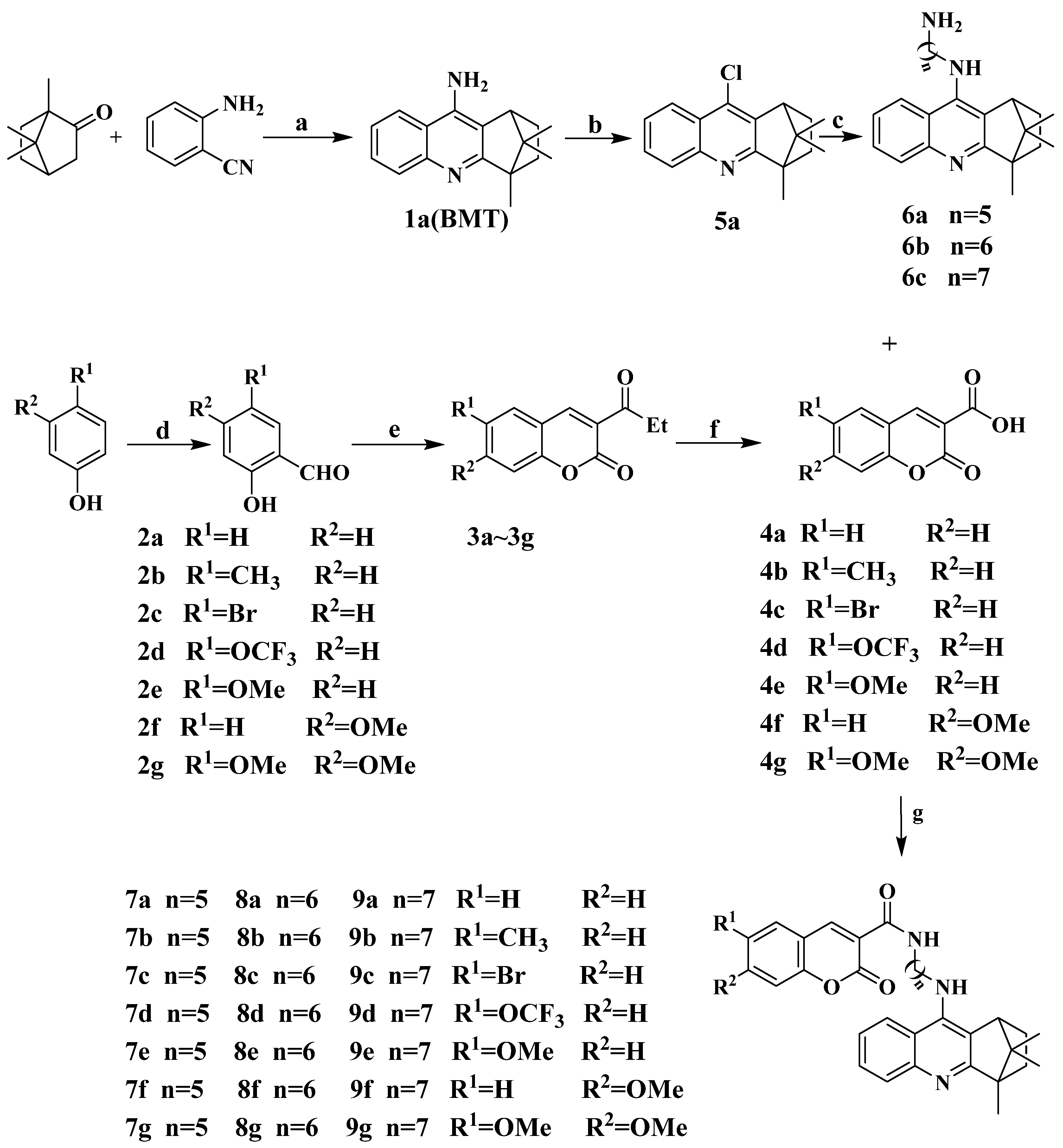 Molecules 27 02142 g002 550