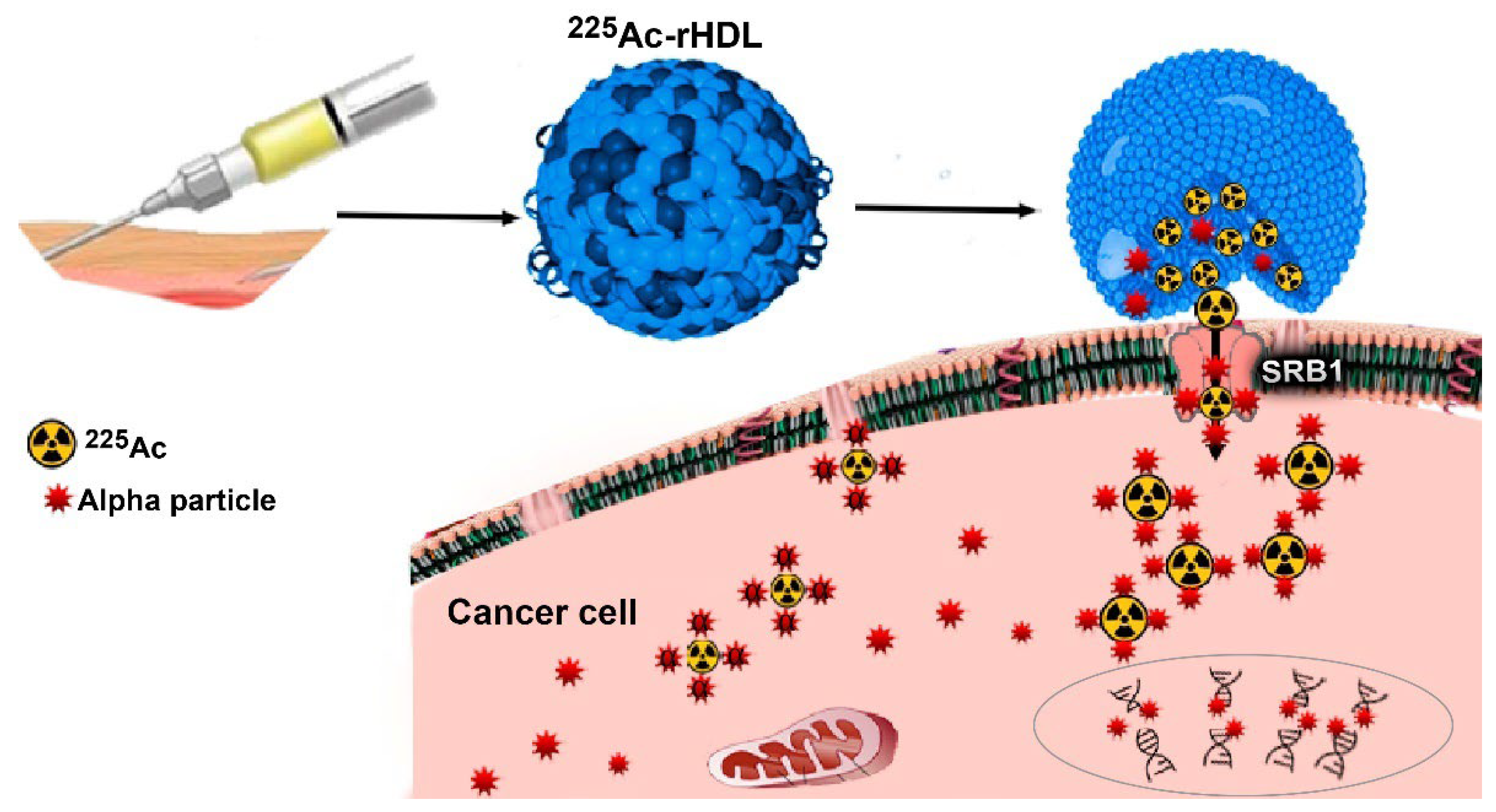 Molecules 27 02156 g006 550