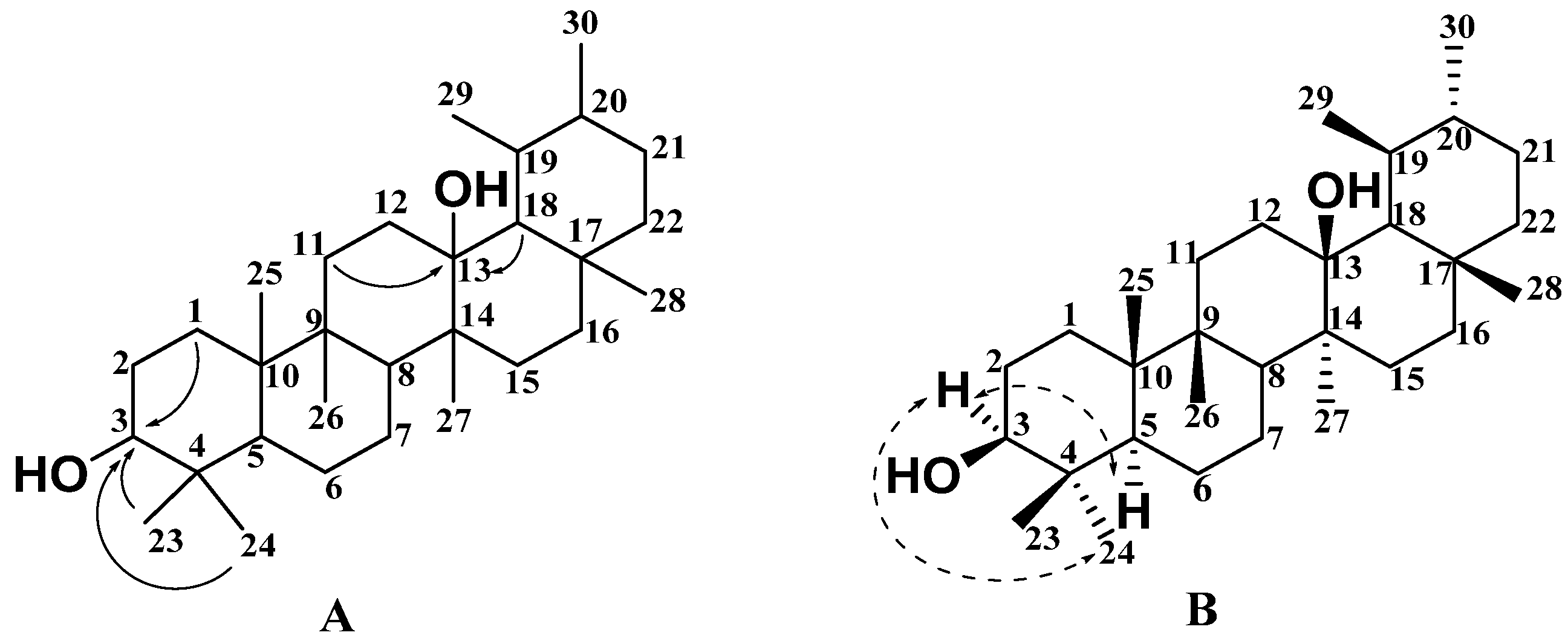 Molecules 27 02161 g005 550