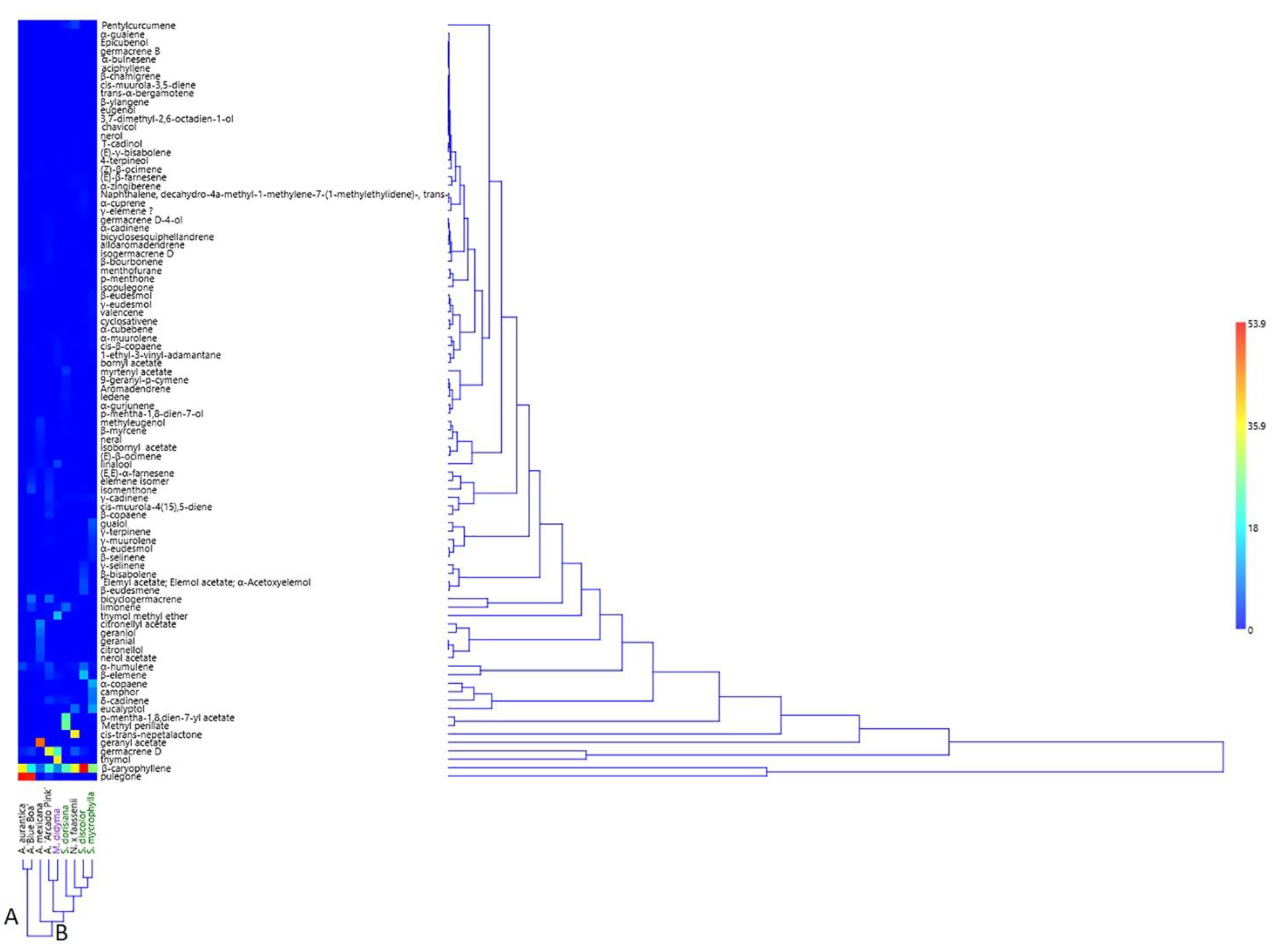 Molecules 27 02172 g002