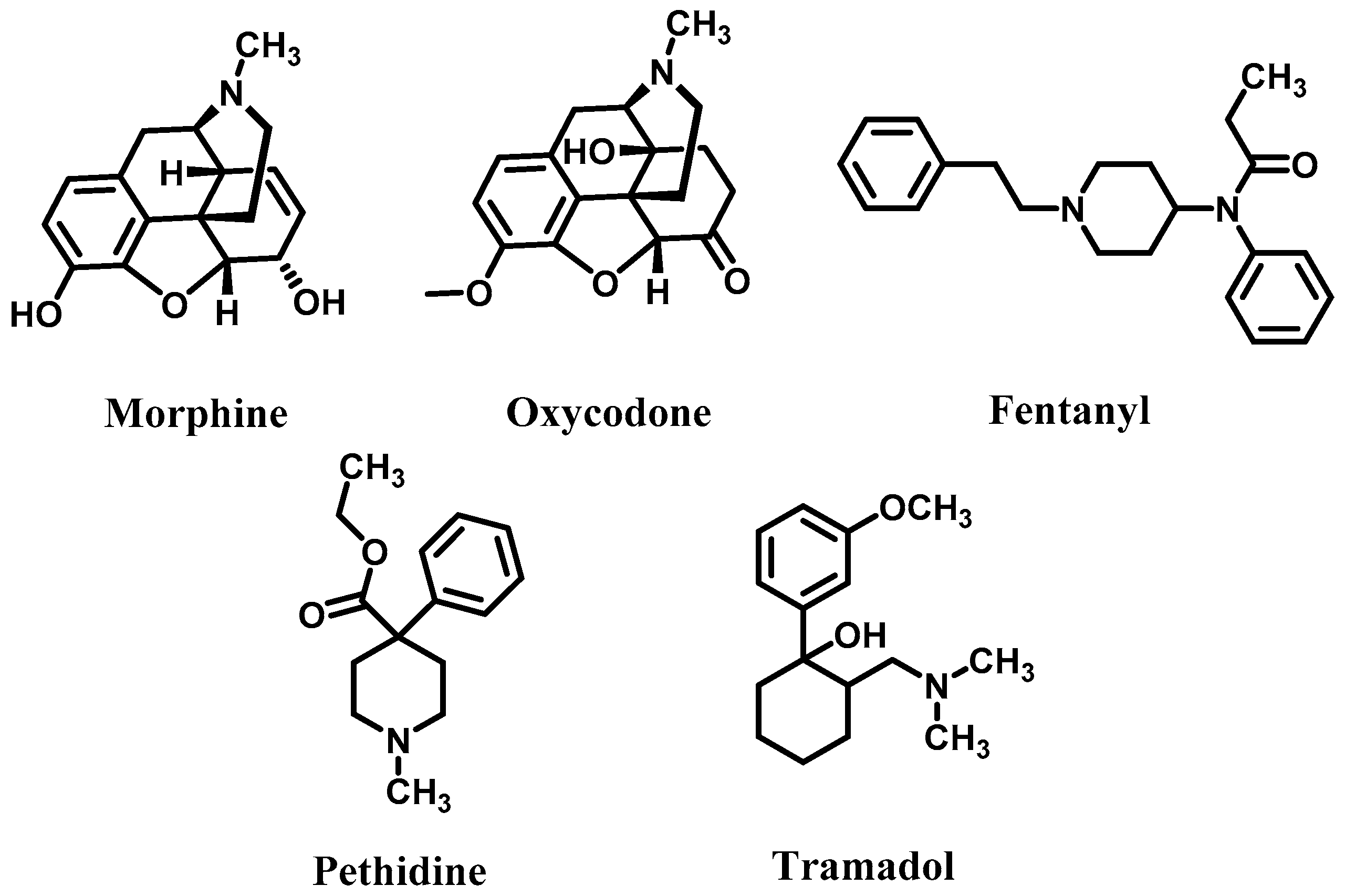 Molecules 27 02173 g001