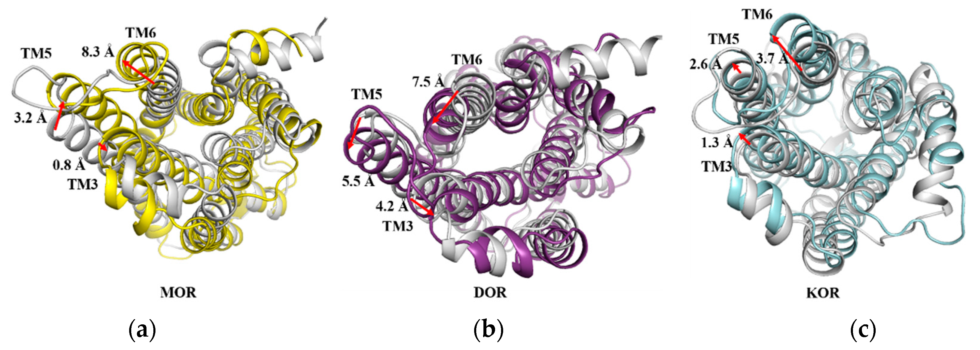 Molecules 27 02173 g013