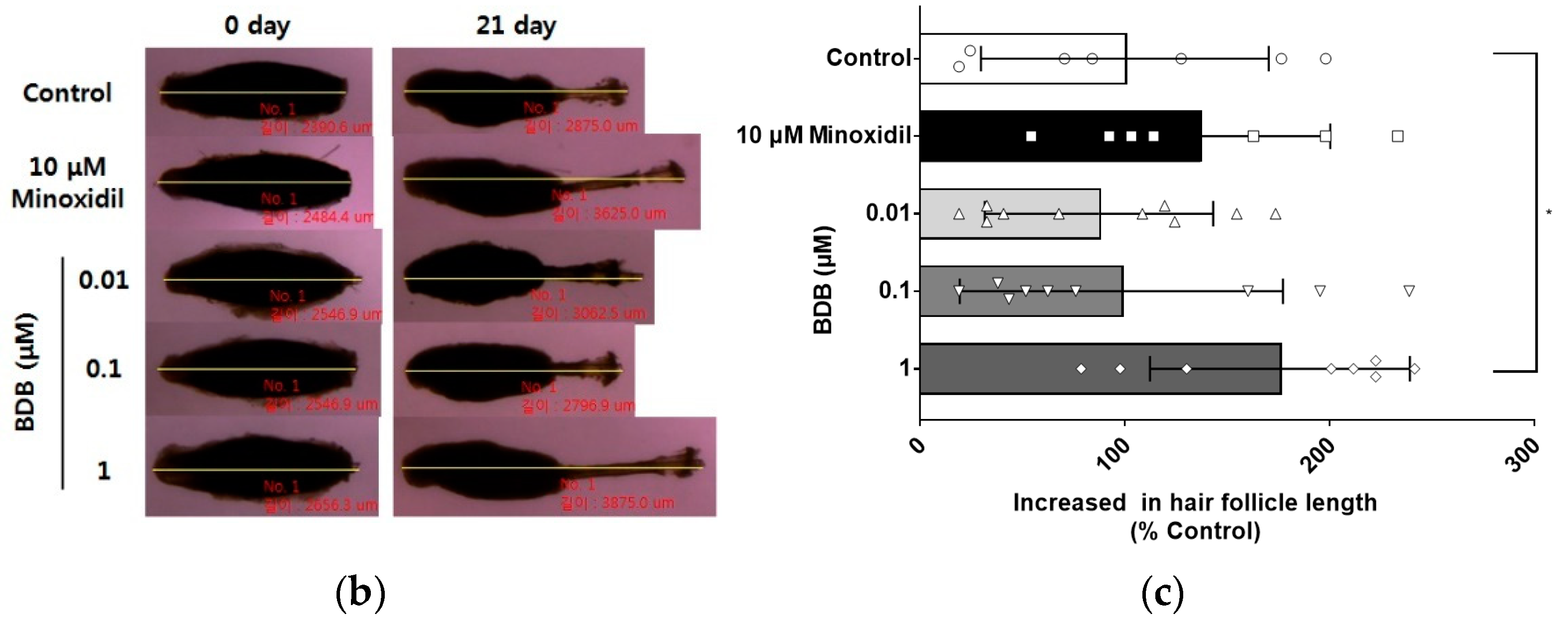 Molecules 27 02176 g001b 550