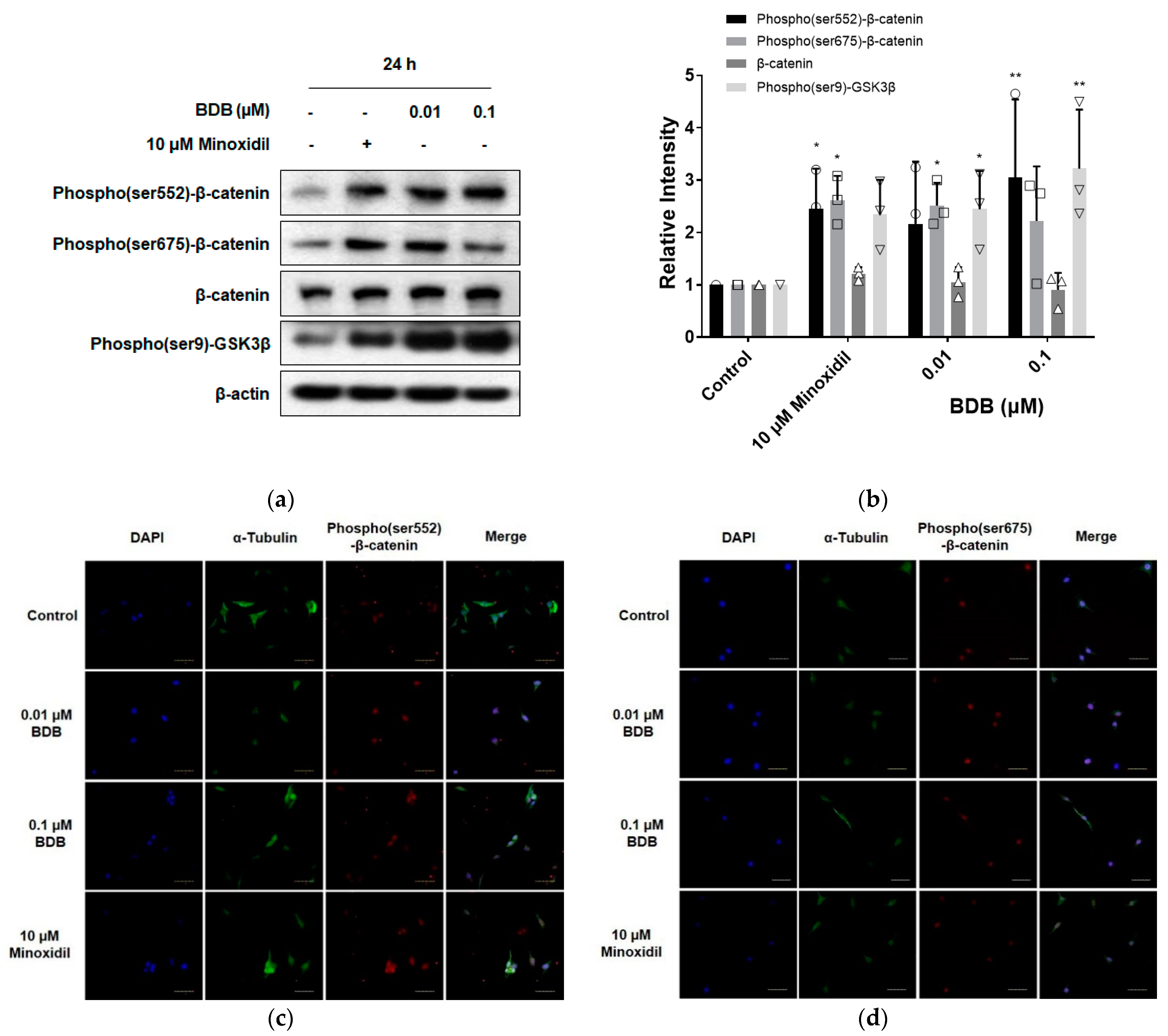 Molecules 27 02176 g003 550