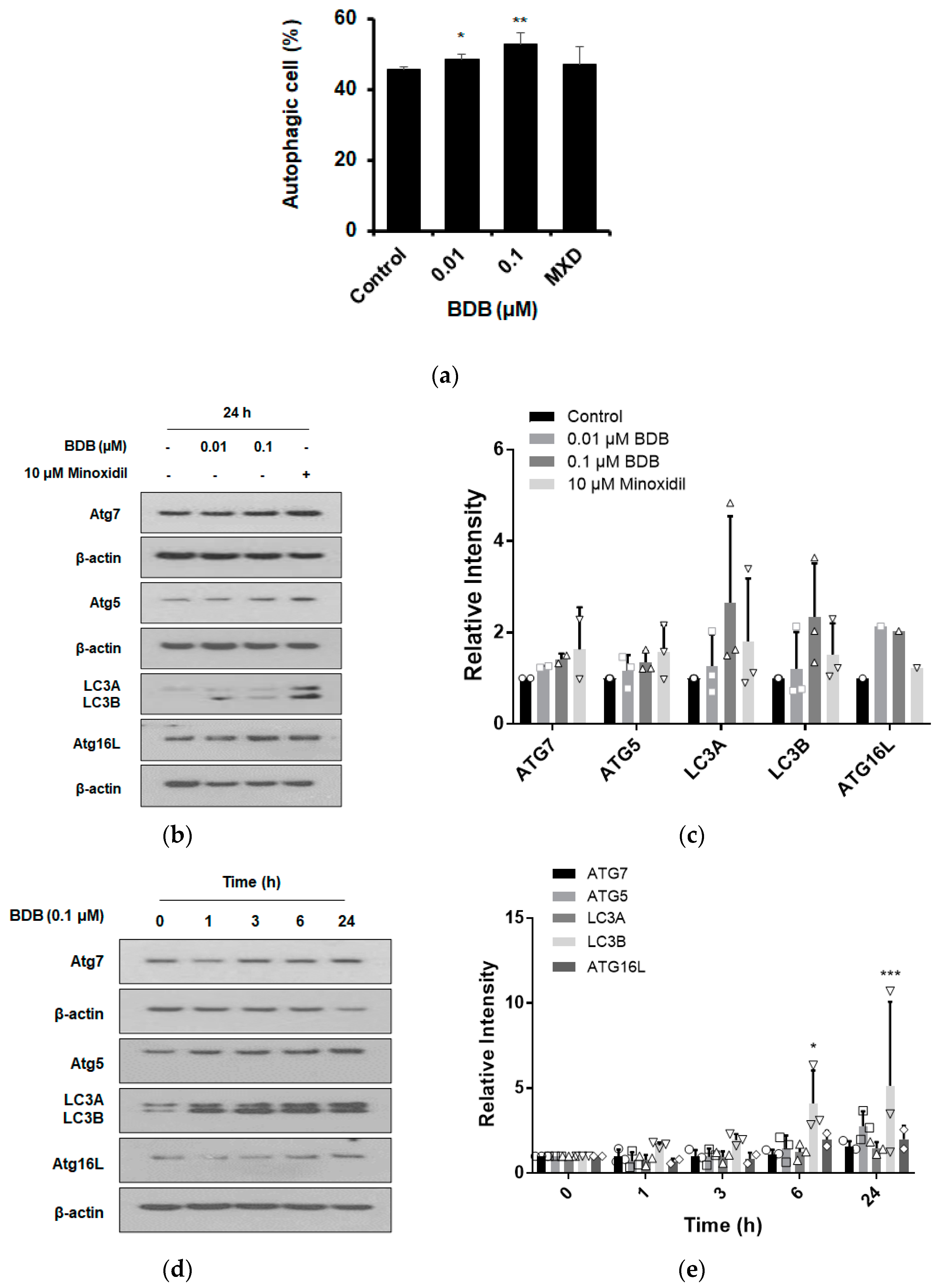 Molecules 27 02176 g004 550