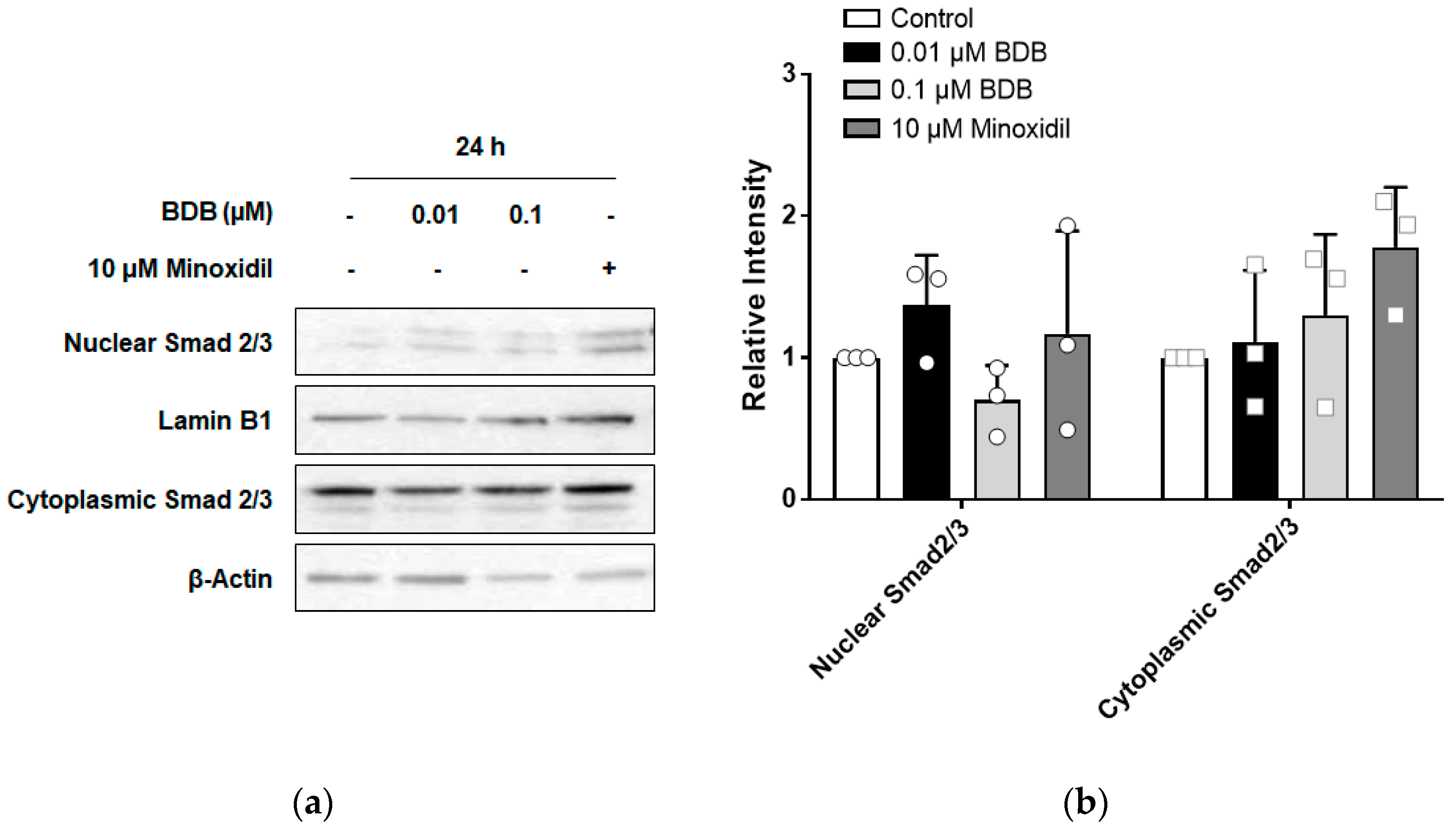 Molecules 27 02176 g005a 550