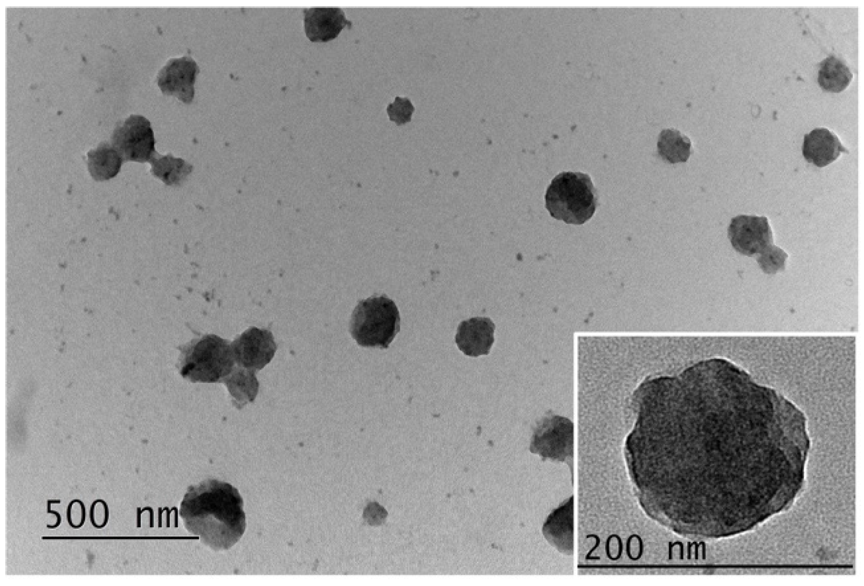 Molecules 27 02178 g004