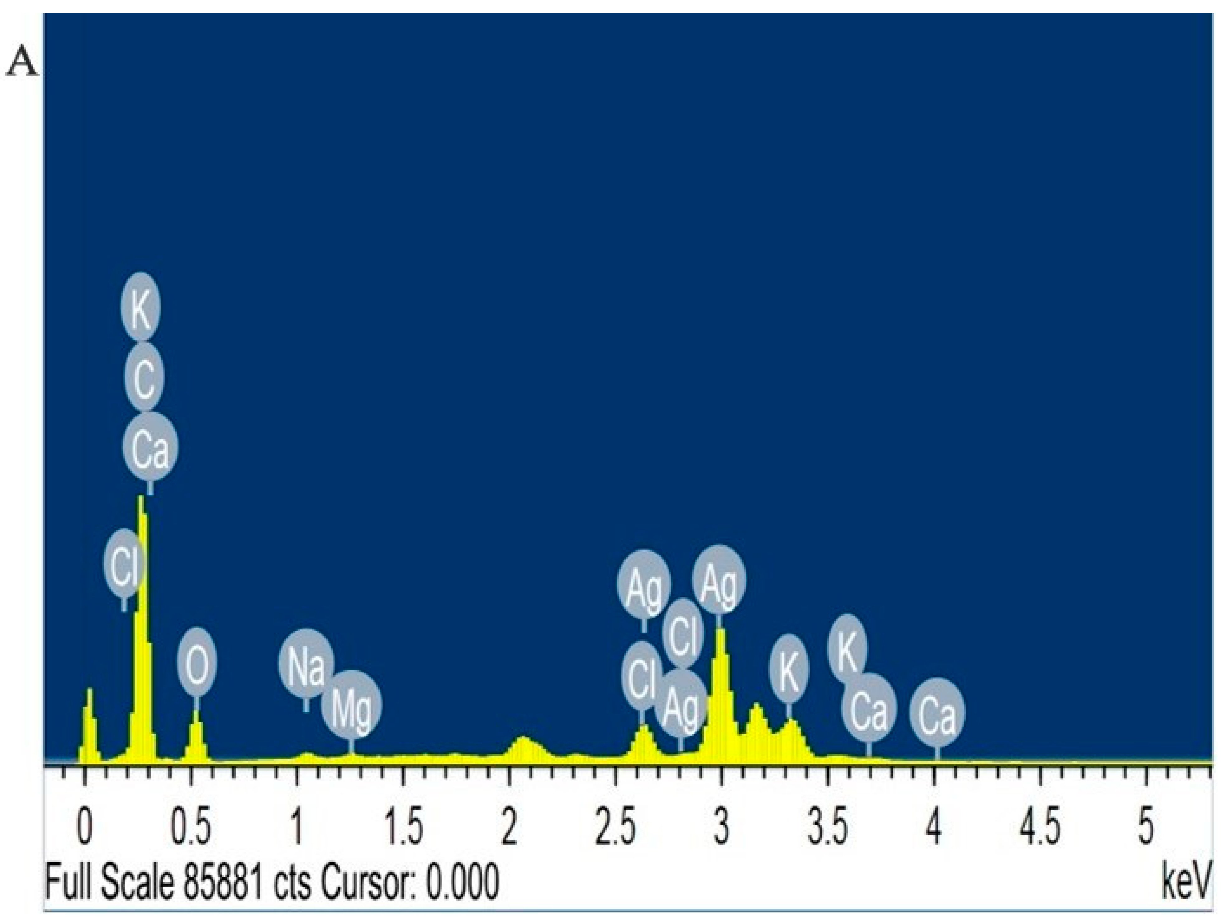 Molecules 27 02186 g004a Molecules 27 02186 g004a