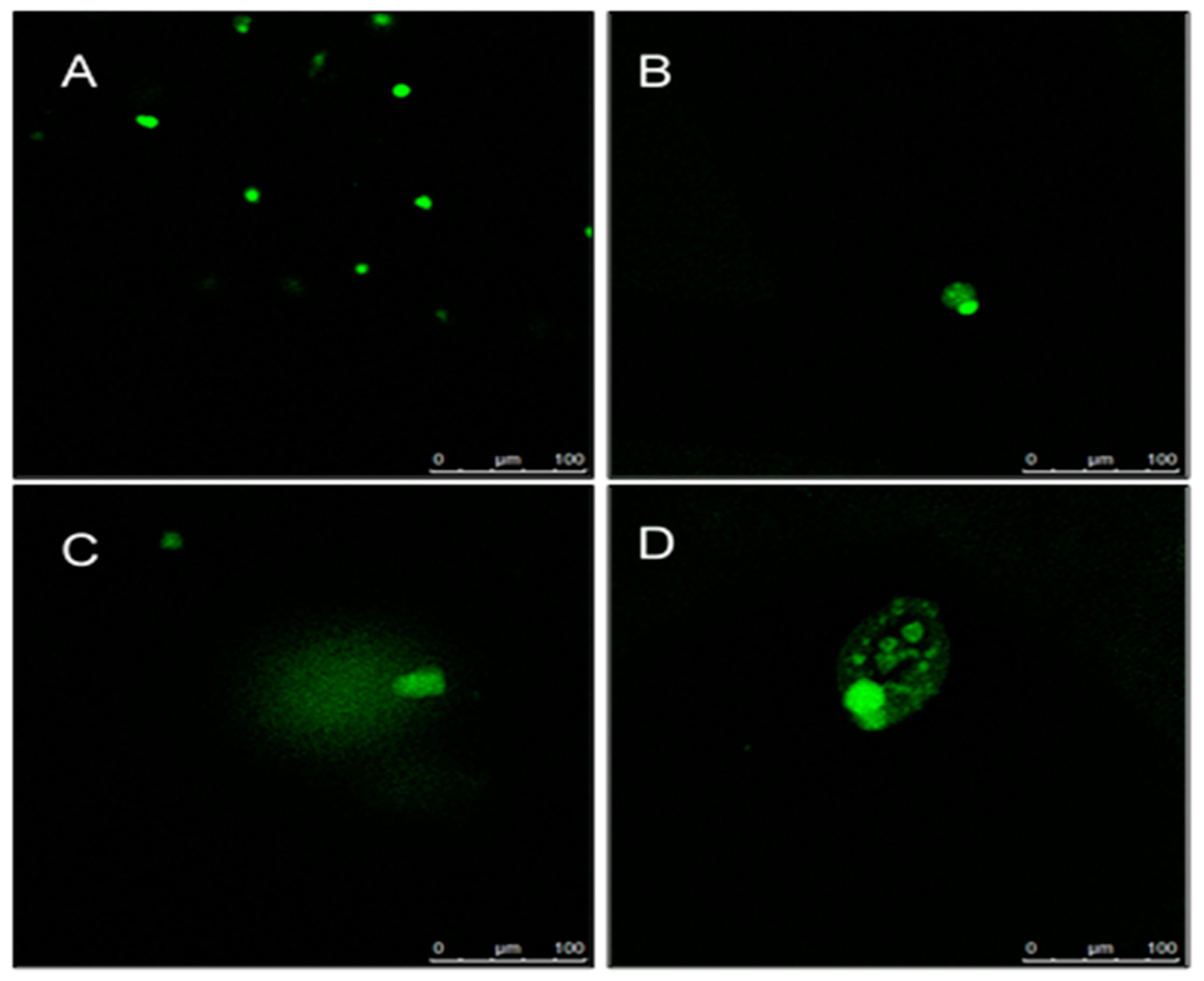 Molecules 27 02190 g006 550