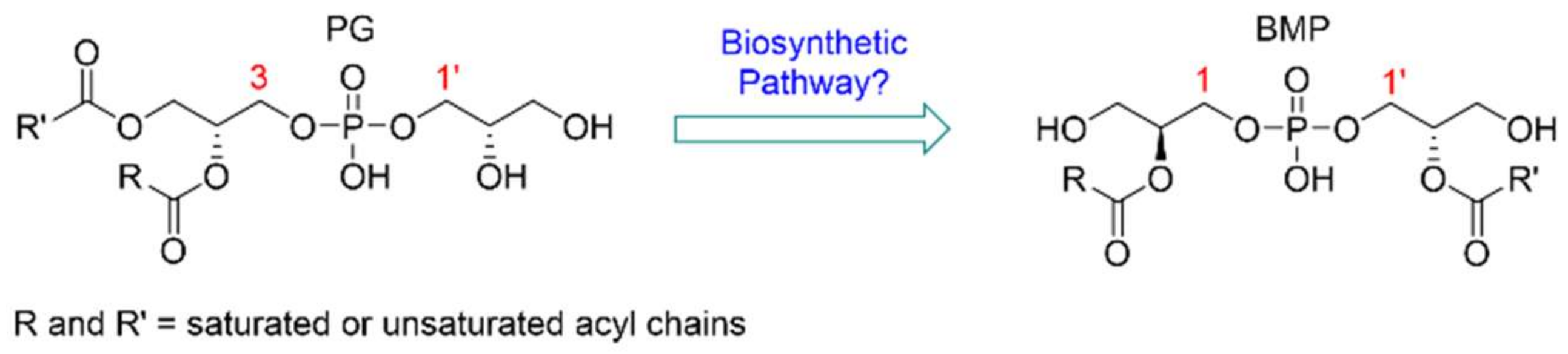 Molecules 27 02199 g001 550
