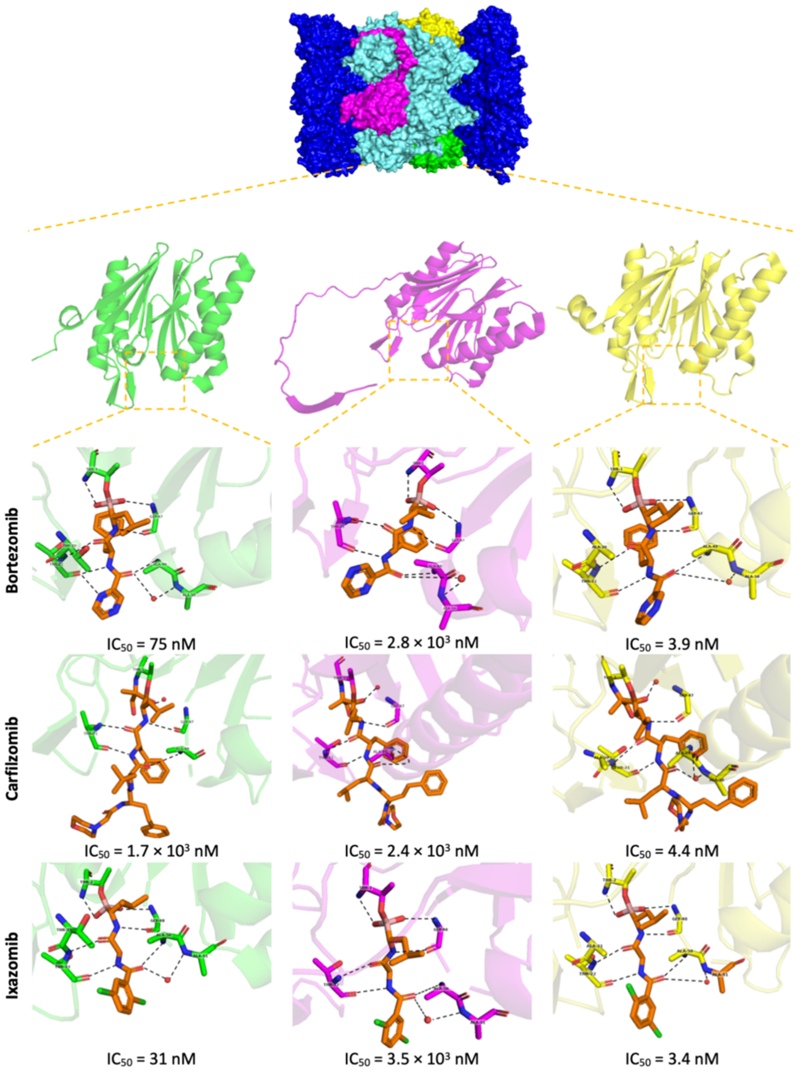 Molecules 27 02201 g005 Molecules 27 02201 g005