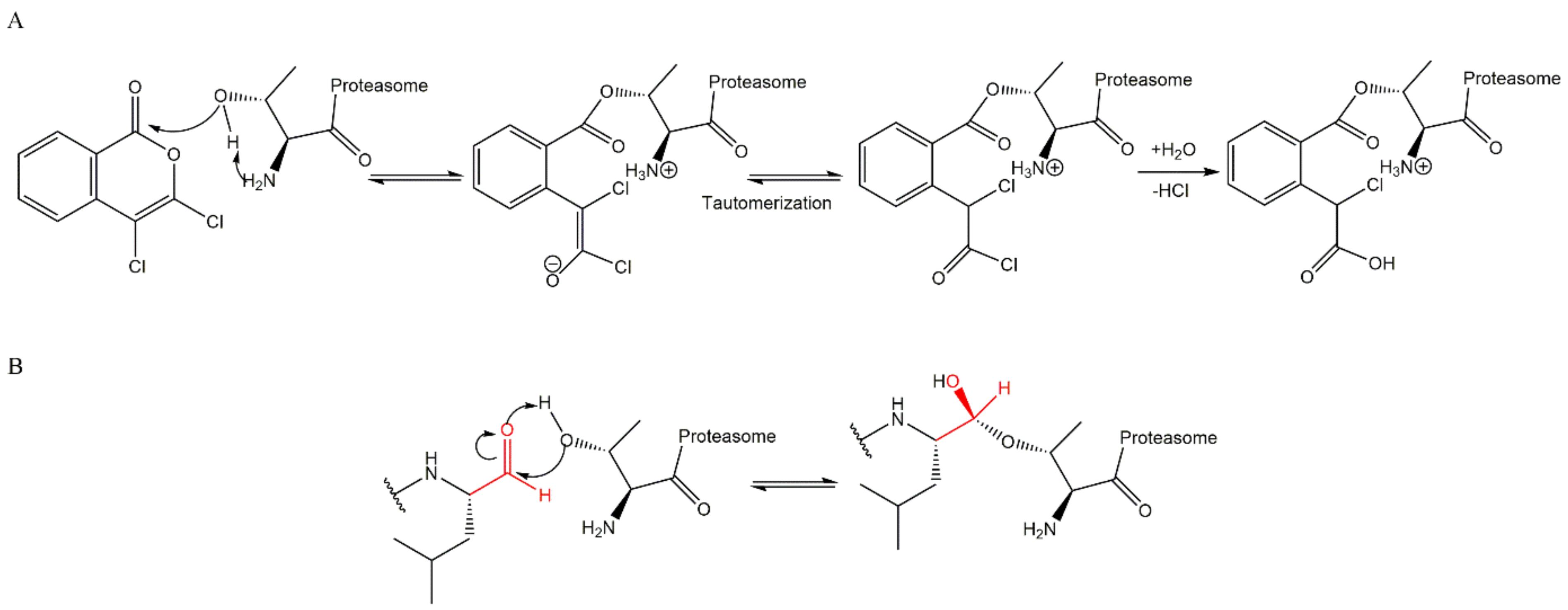 Molecules 27 02201 g006 Molecules 27 02201 g006