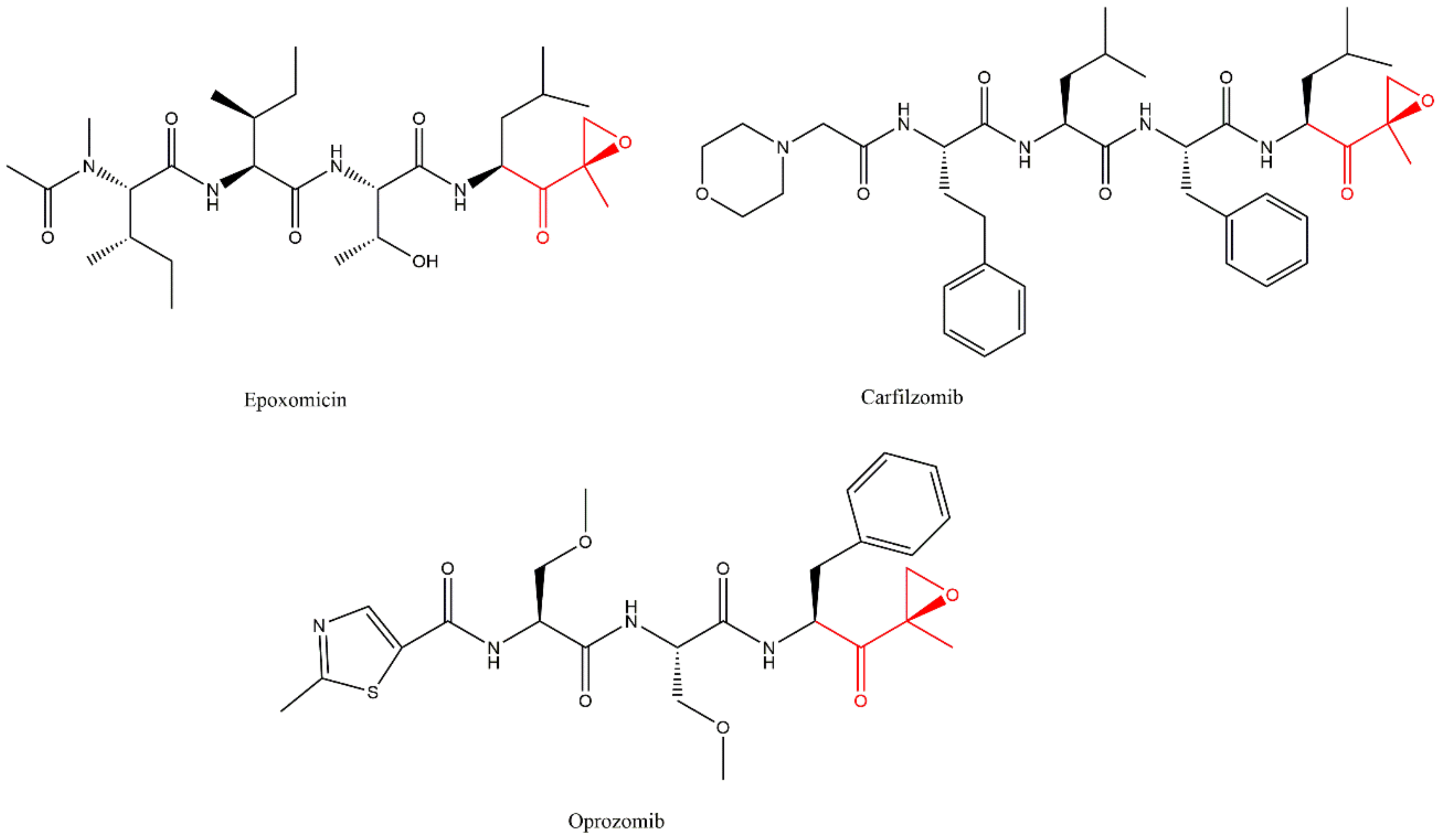 Molecules 27 02201 g010