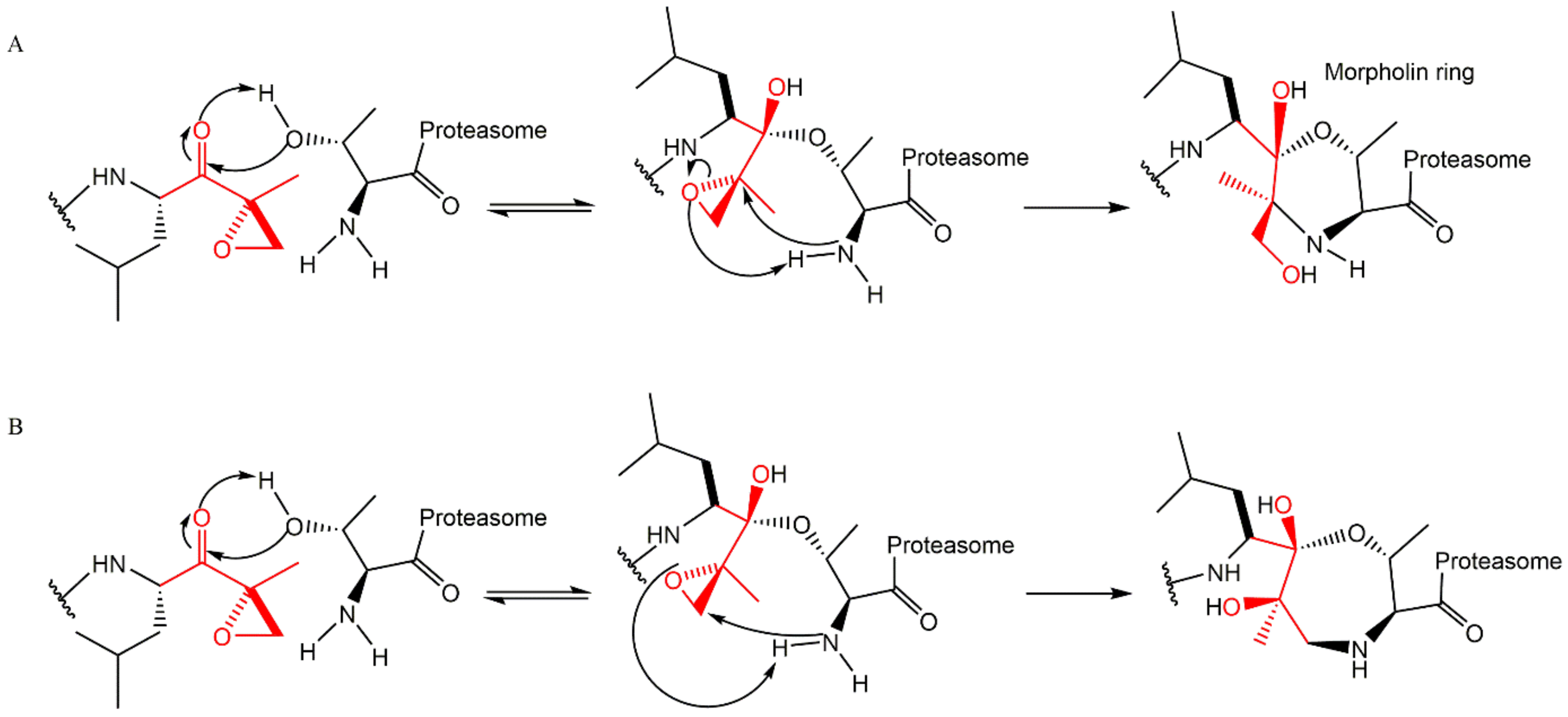 Molecules 27 02201 g011 Molecules 27 02201 g011