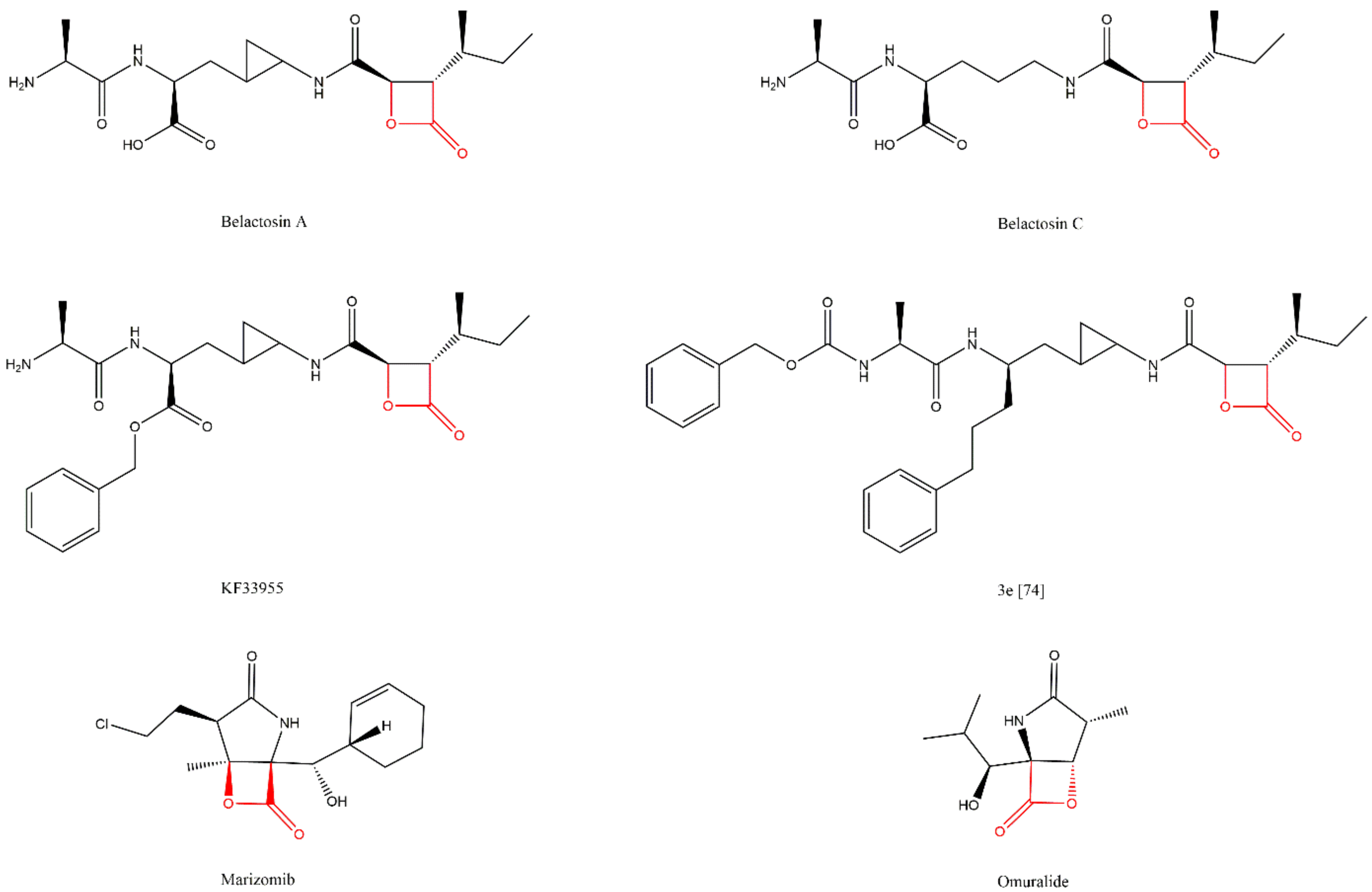 Molecules 27 02201 g017