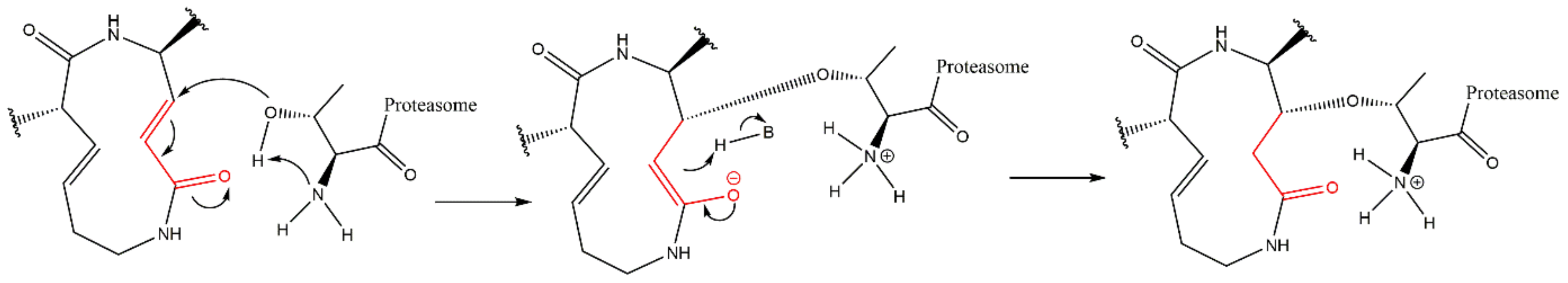 Molecules 27 02201 g019 Molecules 27 02201 g019