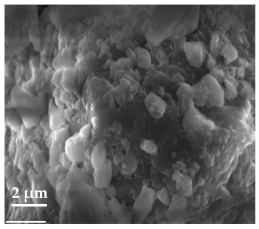 Molecules 27 02202 i003