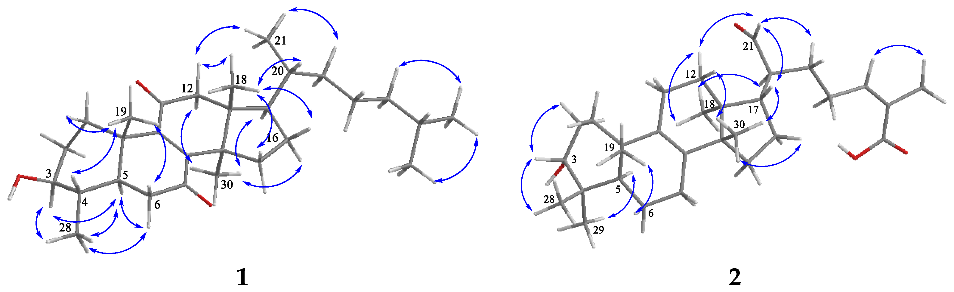Molecules 27 02206 g003 Molecules 27 02206 g003