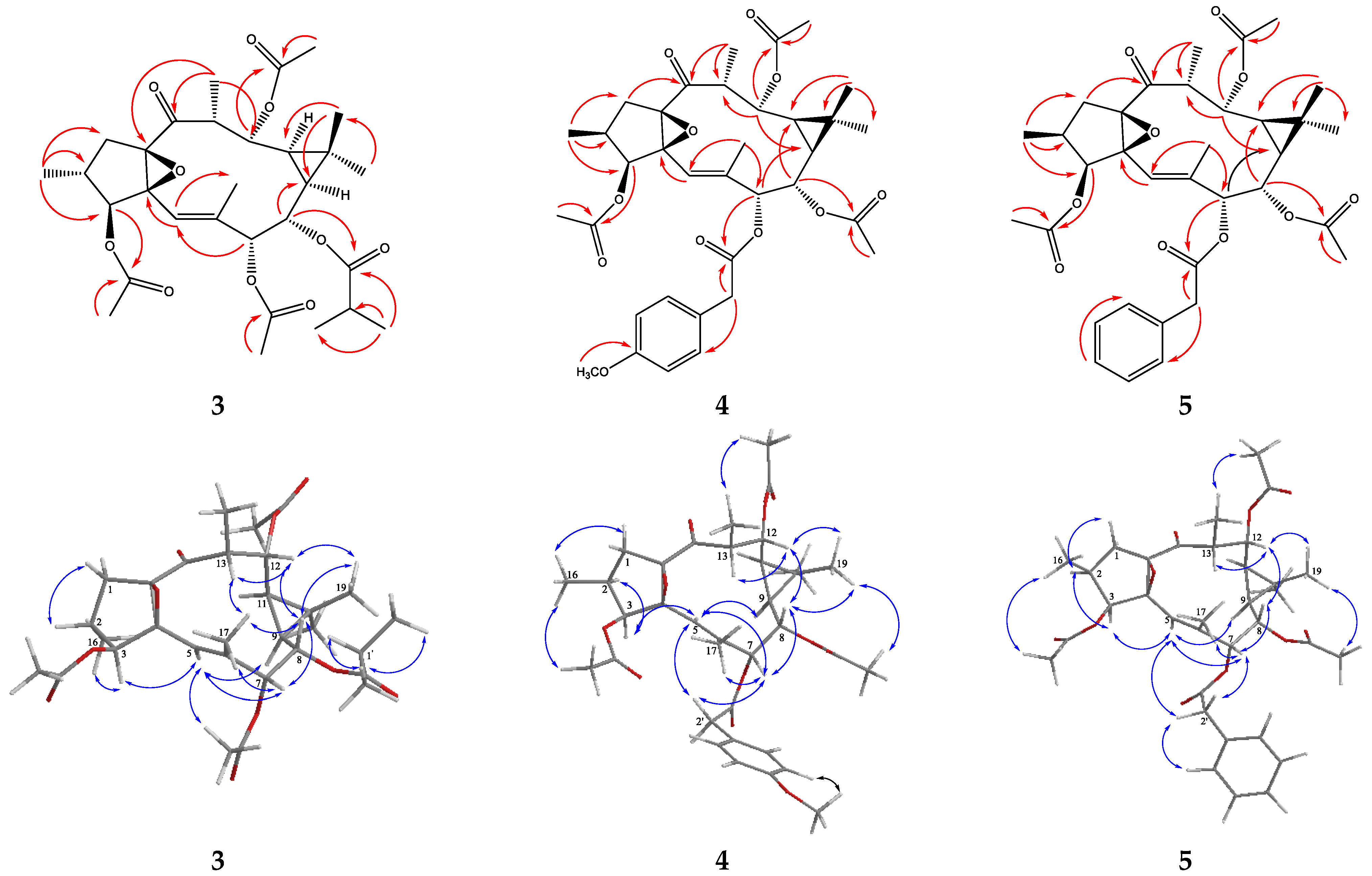 Molecules 27 02206 g004 Molecules 27 02206 g004