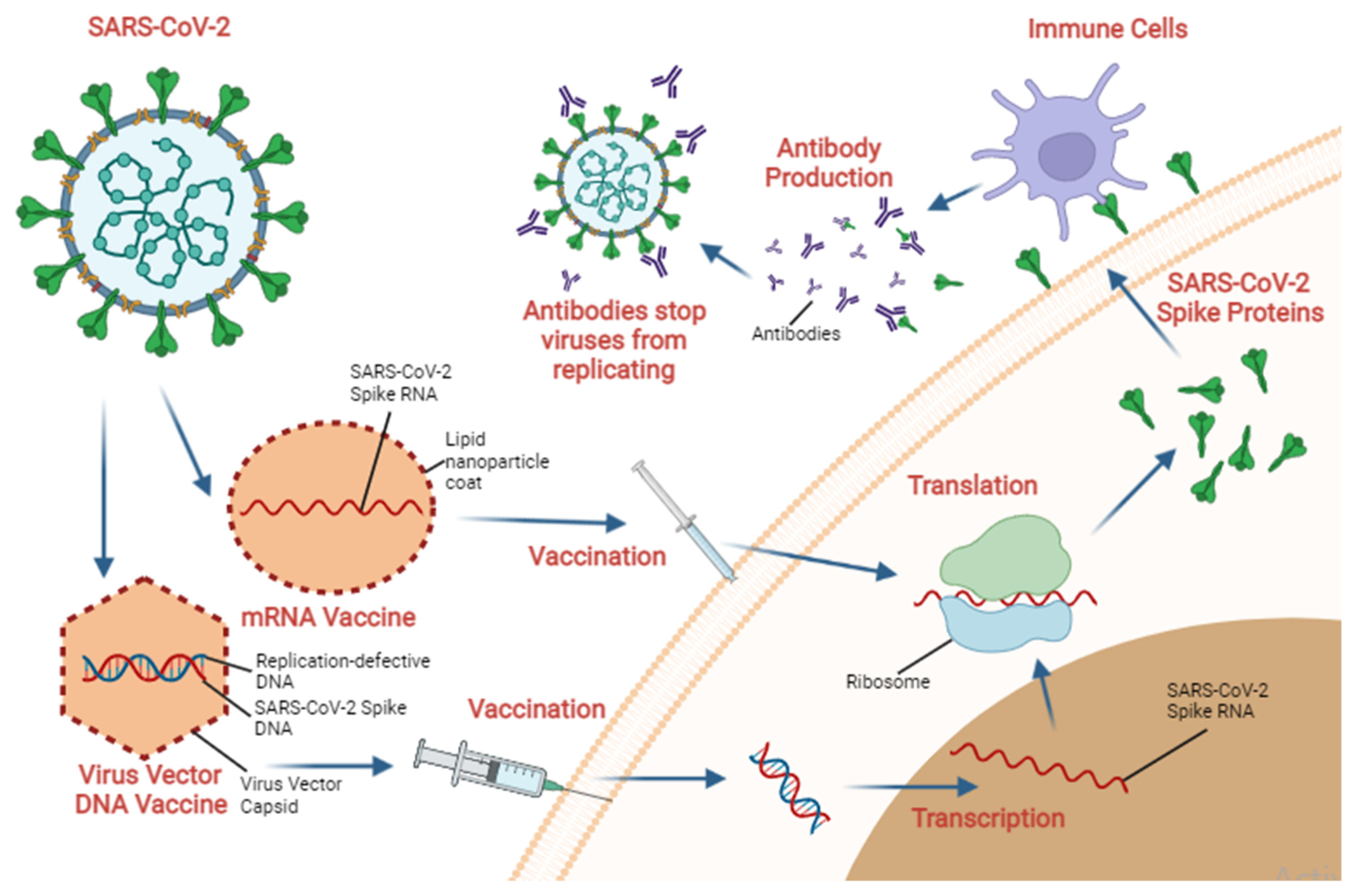 Molecules 27 02221 g003 550