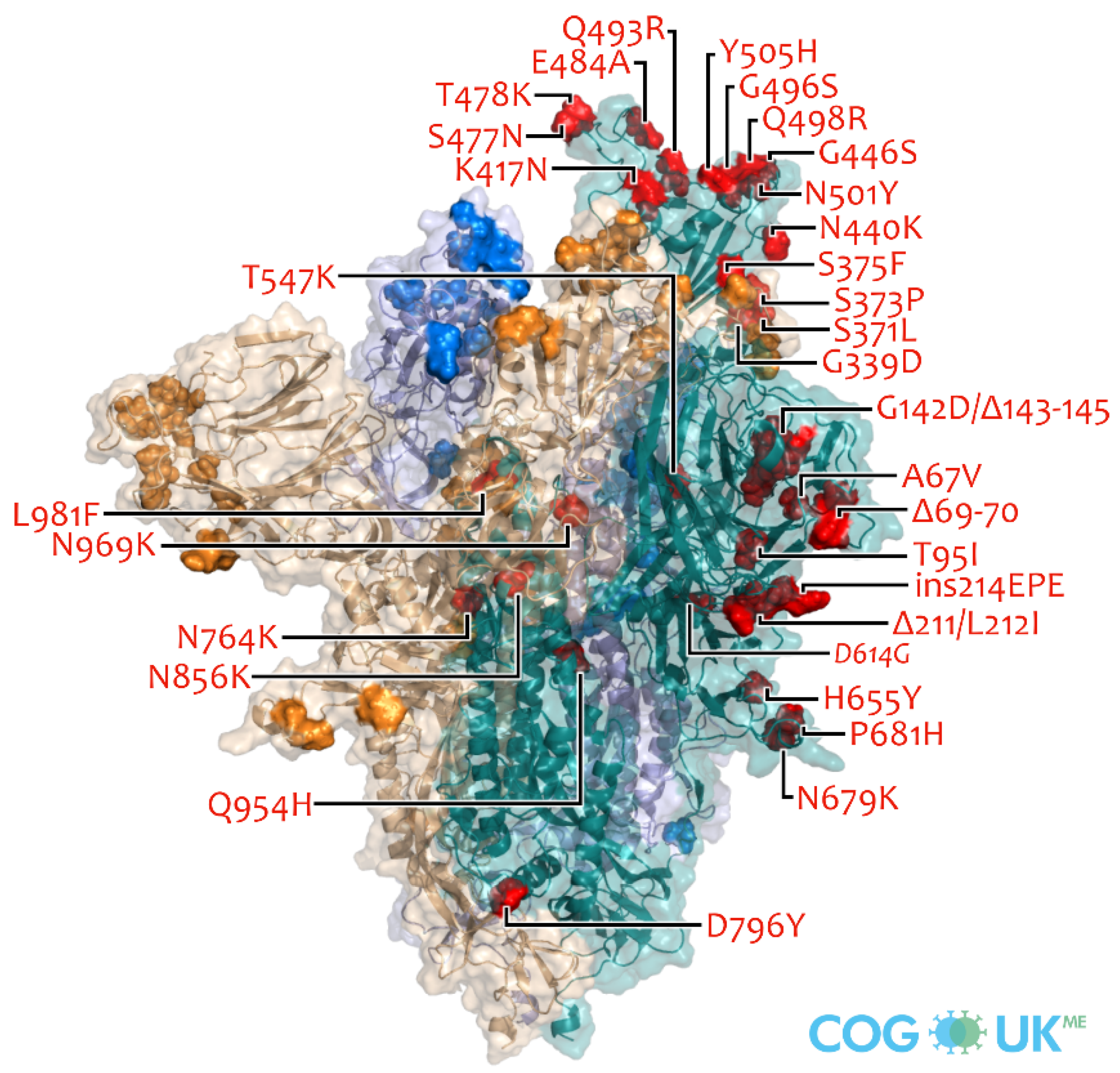 Molecules 27 02221 g004 550