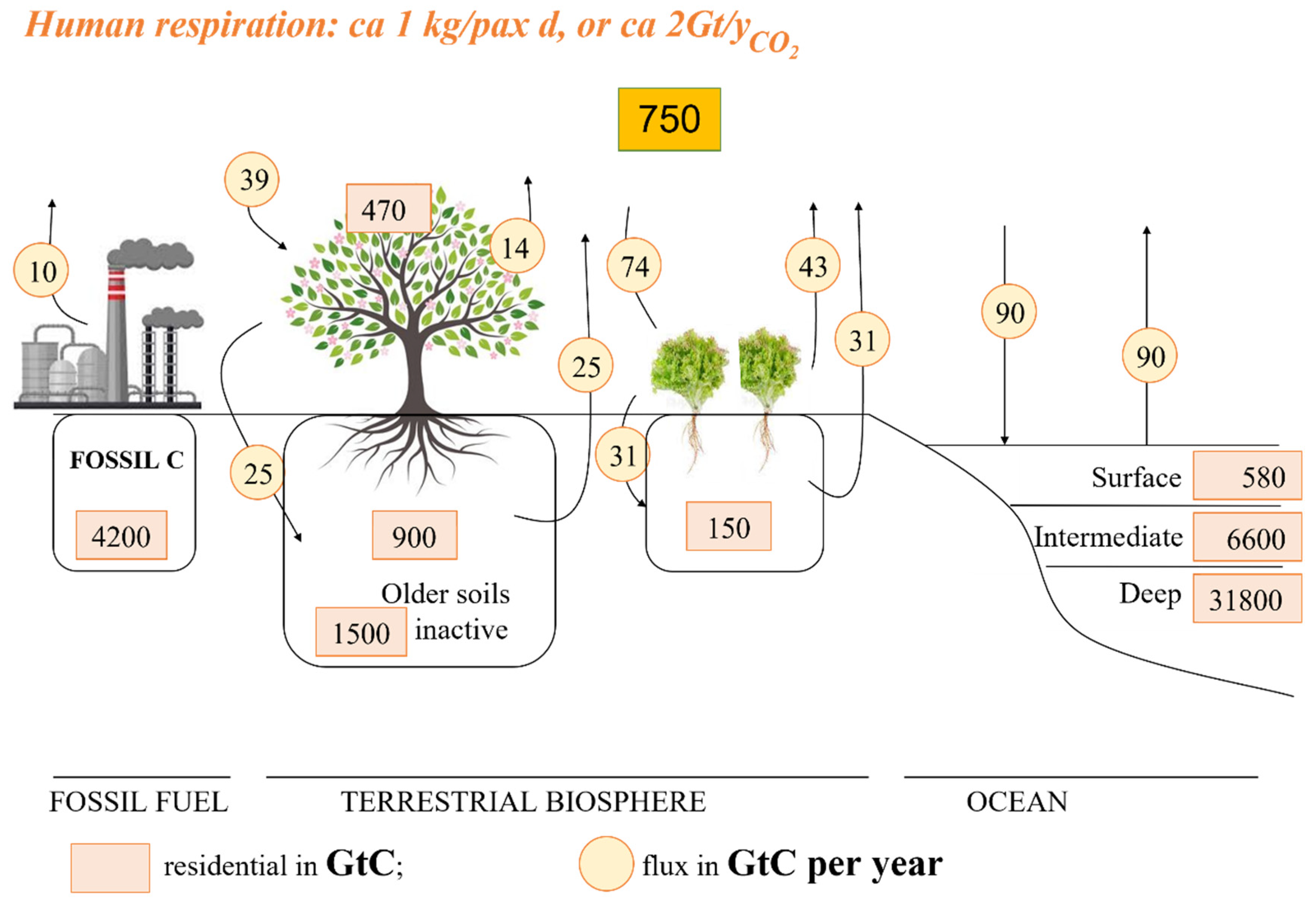 Do Bio-Ethanol and Synthetic Ethanol Produced from Air-Captured CO2 ...